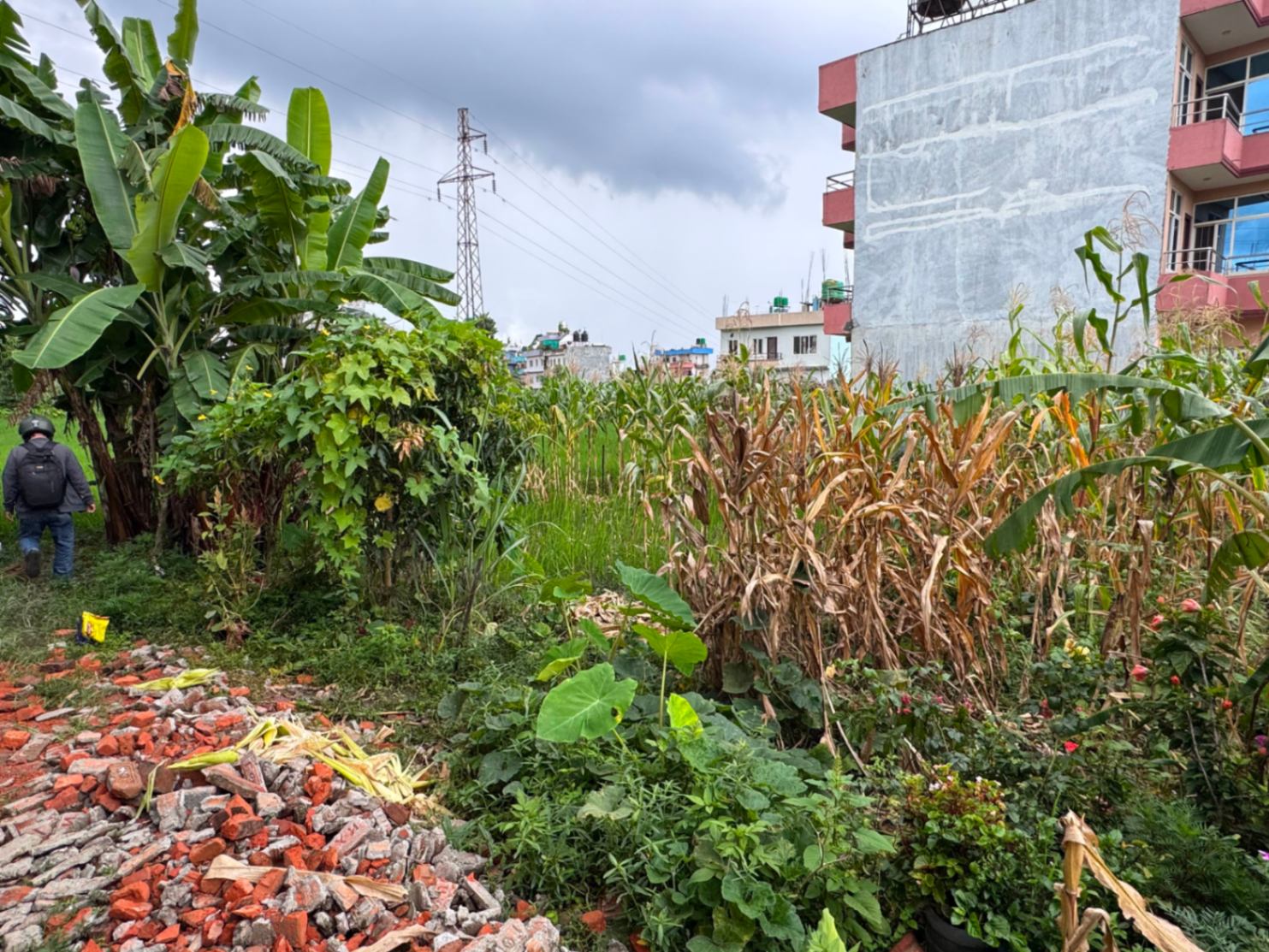 #SS2446 Residential Land on sell at Balkot, Suryabinayak