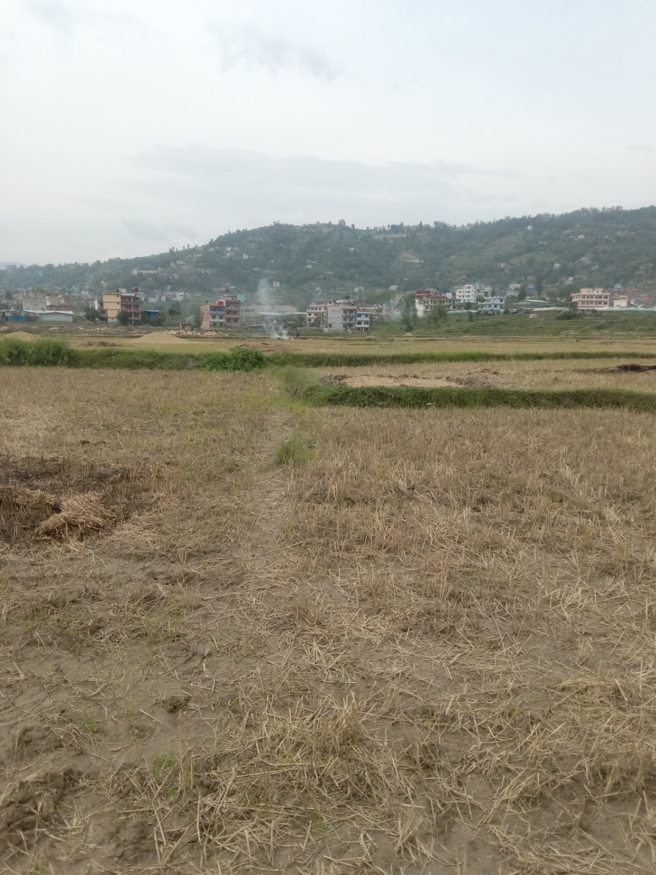 #SS1905 Residential Land on sell at Pikhel, Changunarayan
