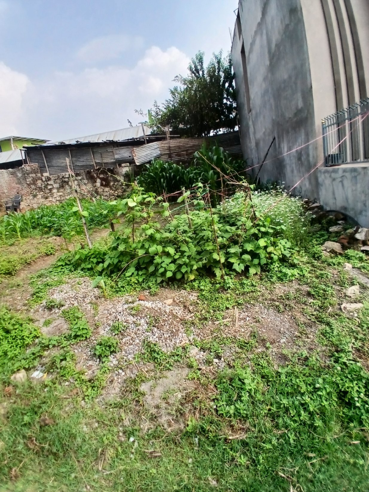 #SS1757 Residential Land on sell at Dachi, Kageshwari-Manohara