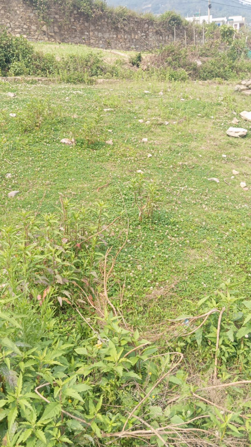 #SS1536 Residential Land on sell at Baadbhyanjyang, Chandragiri