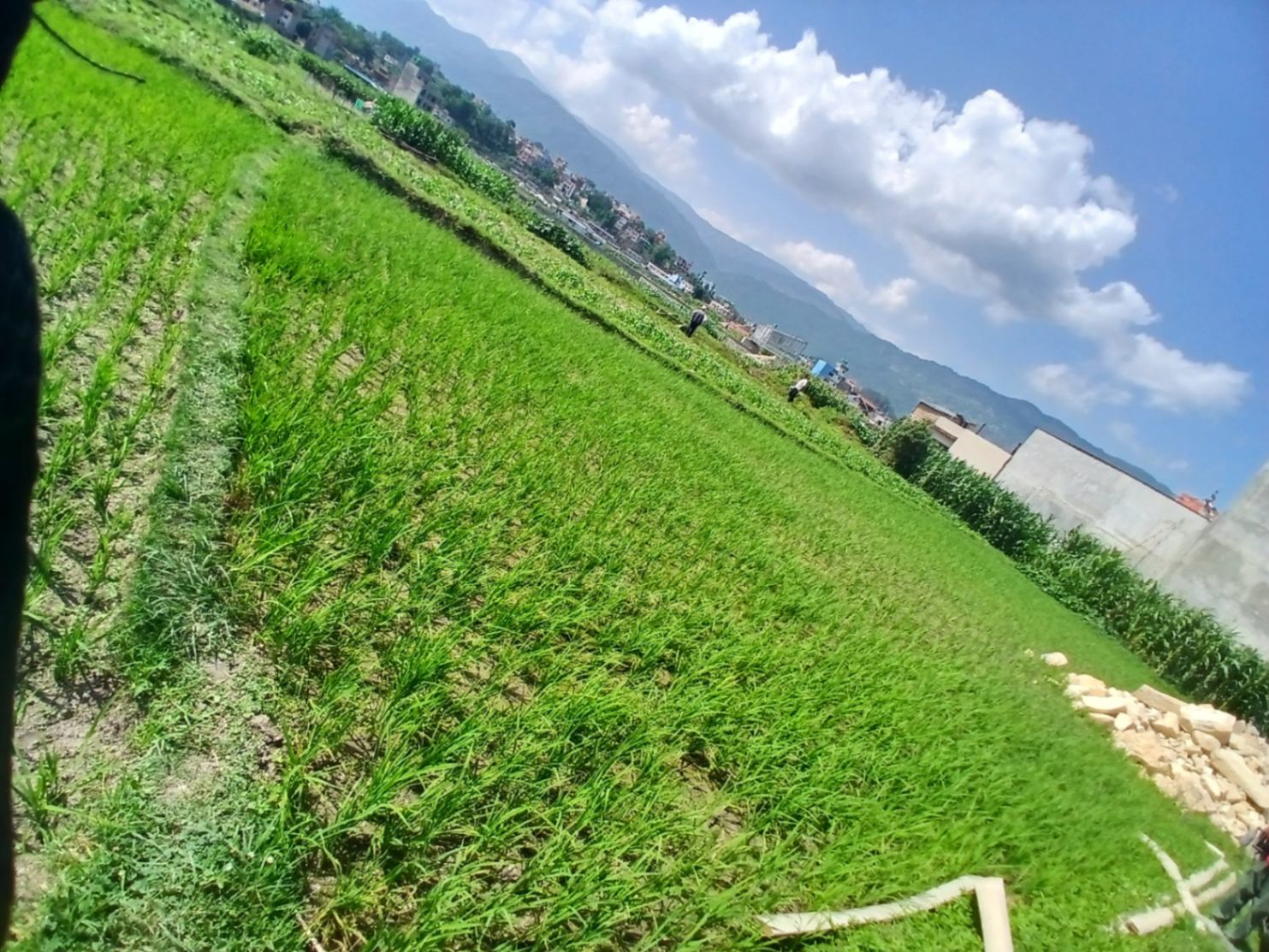 #SS2108 Plotting Land on sell at Khusi tol, Changunarayan