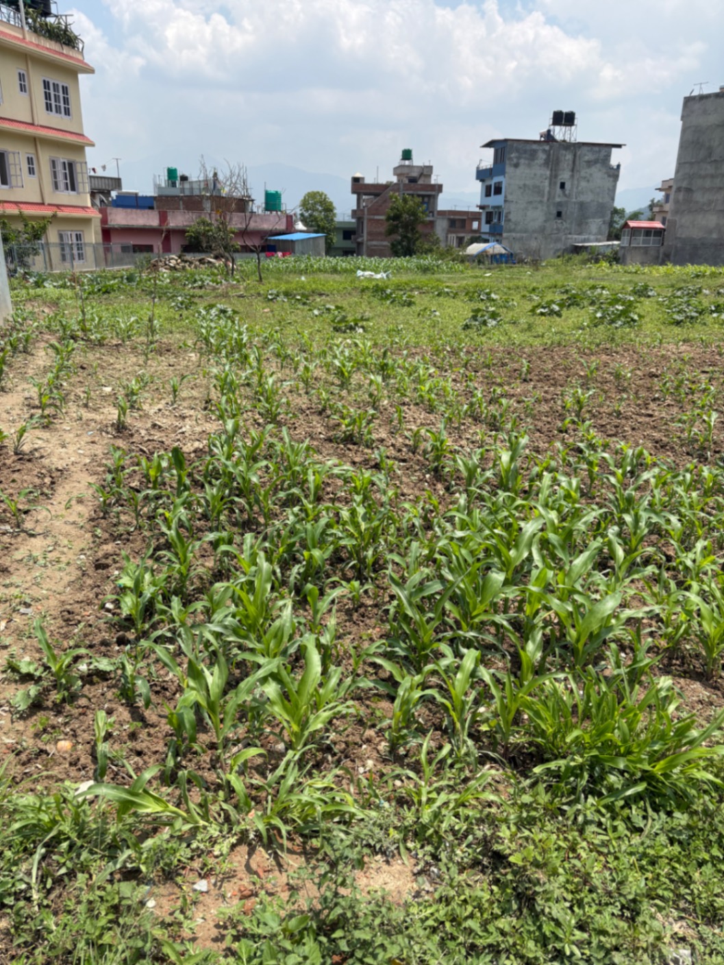 #SS1777 Residential Land on sell at Sirjana marga , Kirtipur