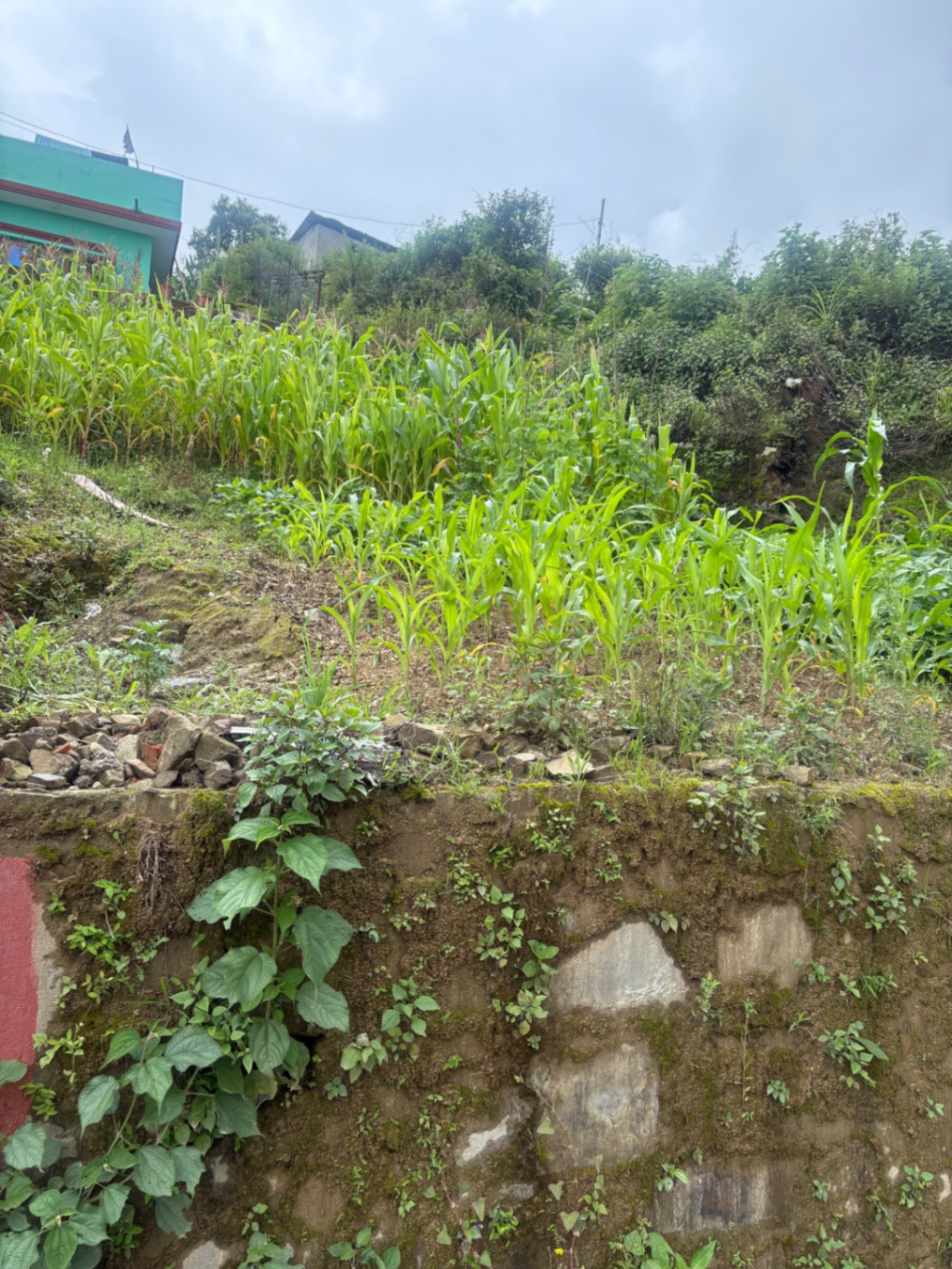 #SS2320 Residential Land on sell at Baadbhyanjyang, Chandragiri