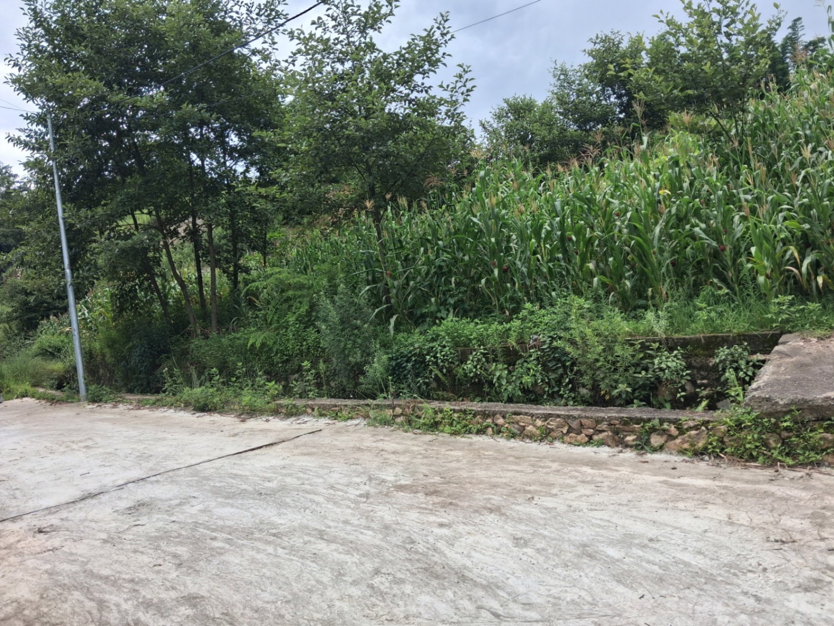 #SS2406 Residential Land on sell at Changunarayan, Changunarayan