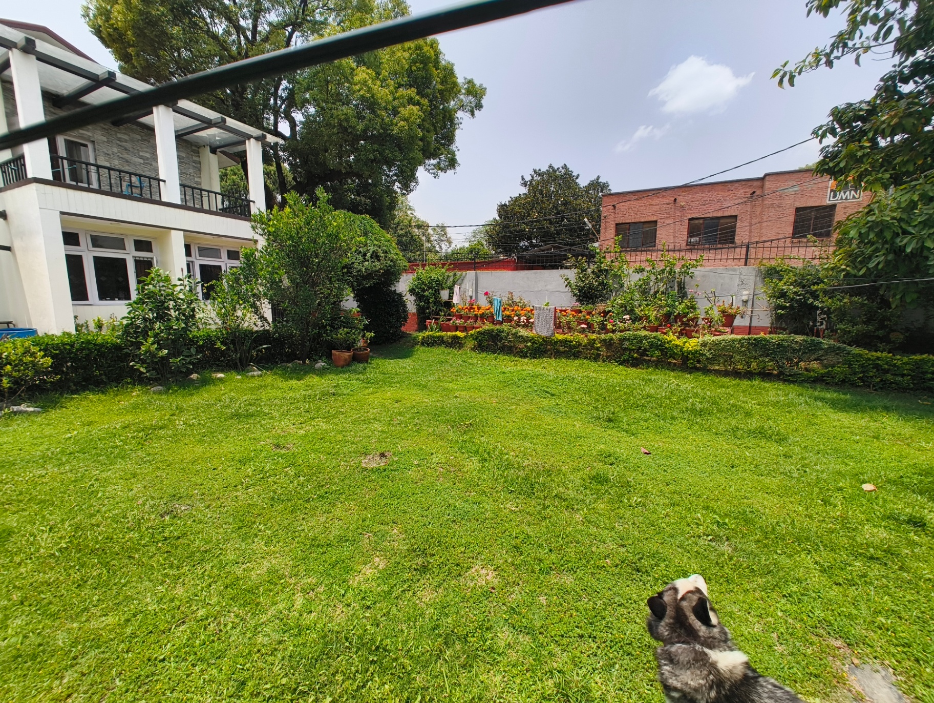 #SS1833 Semi-commericial Land on sell at Baneshowr, Kathmandu