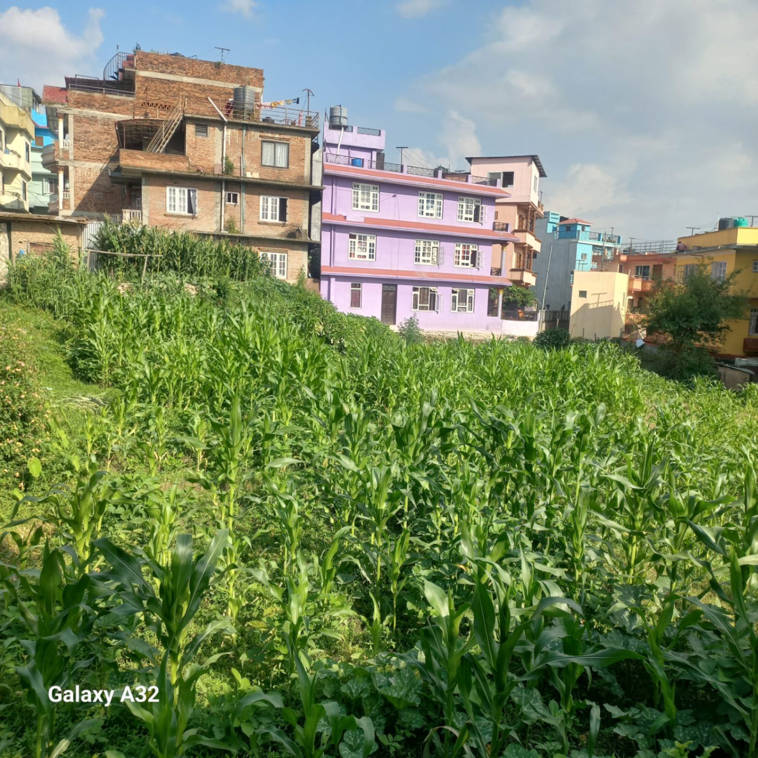 #SS1750 Commercial Land on sell at Bafal, Kathmandu