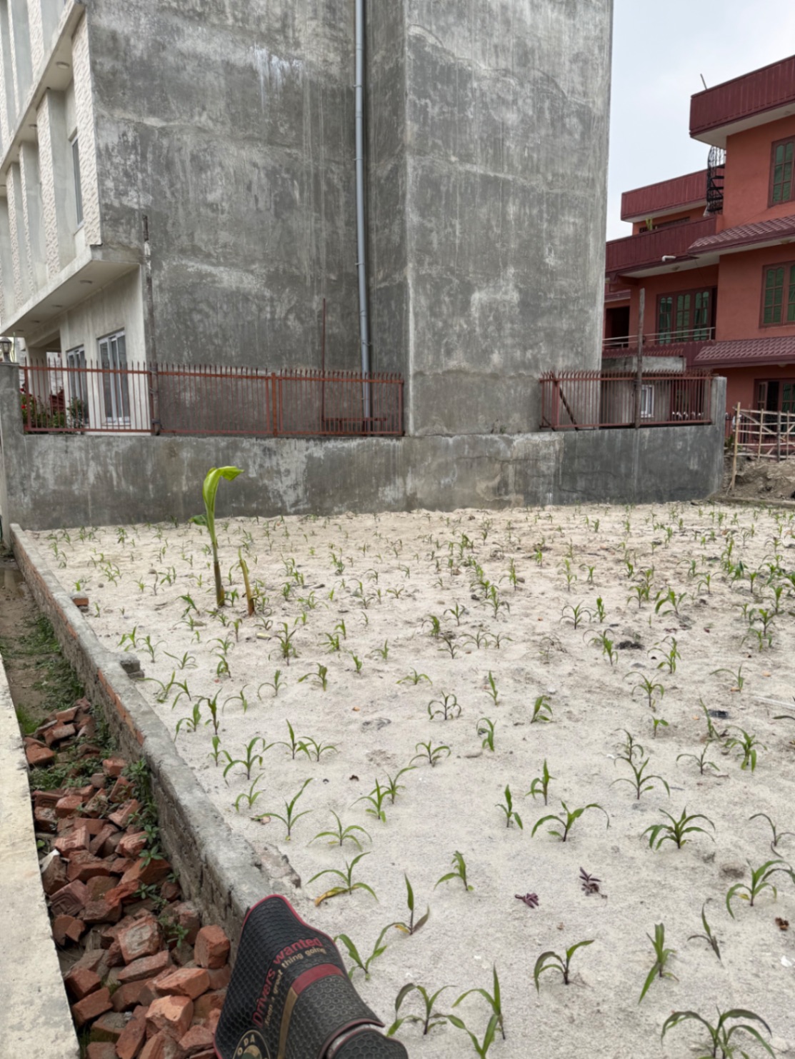#SS1550 Residential Land on sell at Gothatar, Kageshwari-Manohara