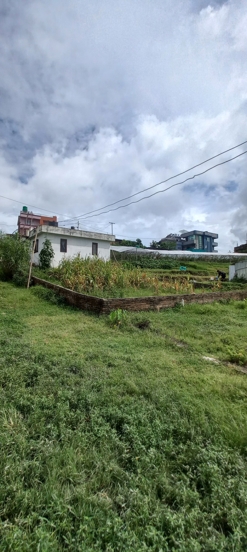 #SS2629 Residential Land on sell at Salyanthan Road, Kirtipur