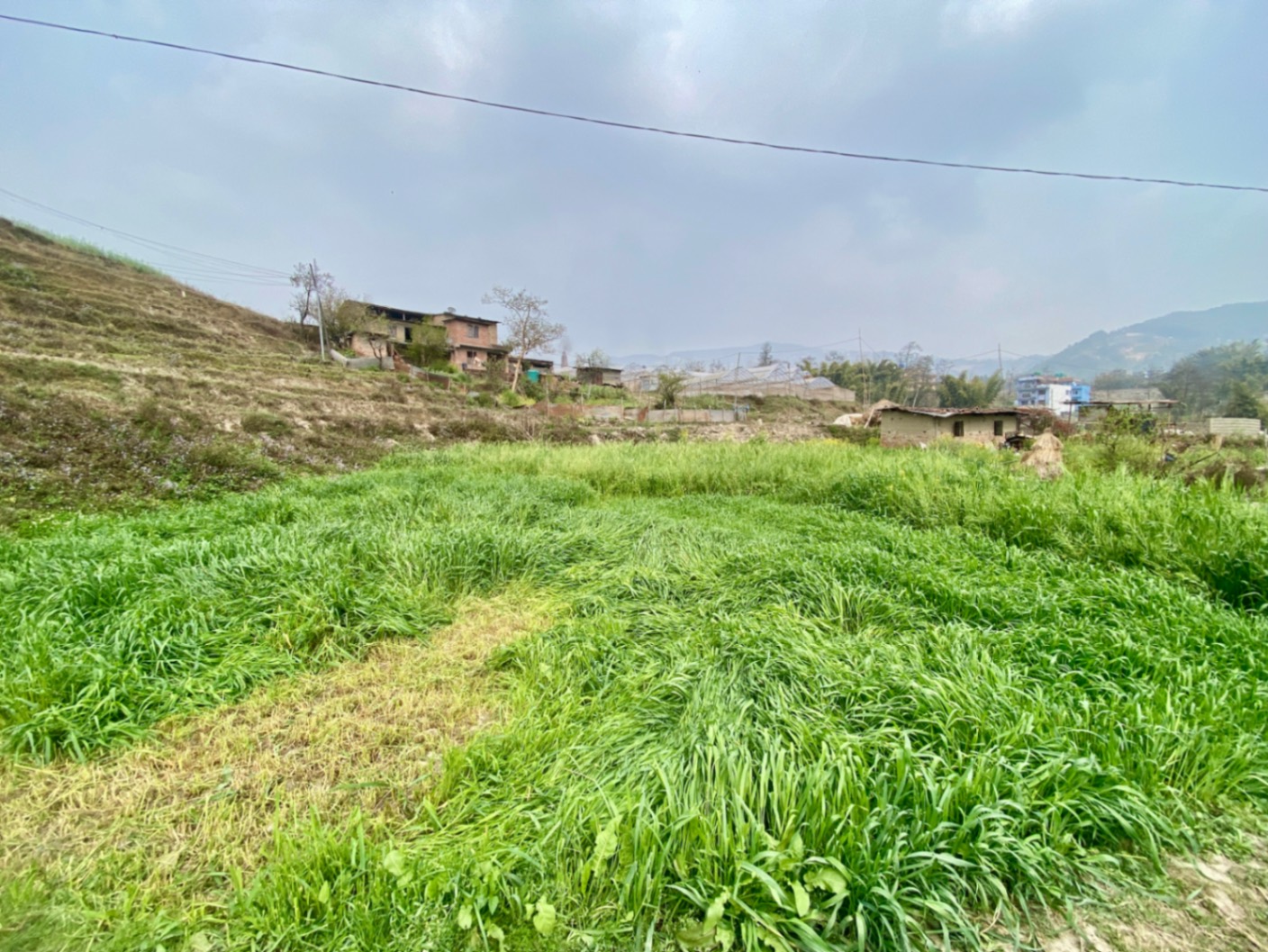 #SS1286 Residential Land on sell at Sudal, Changunarayan