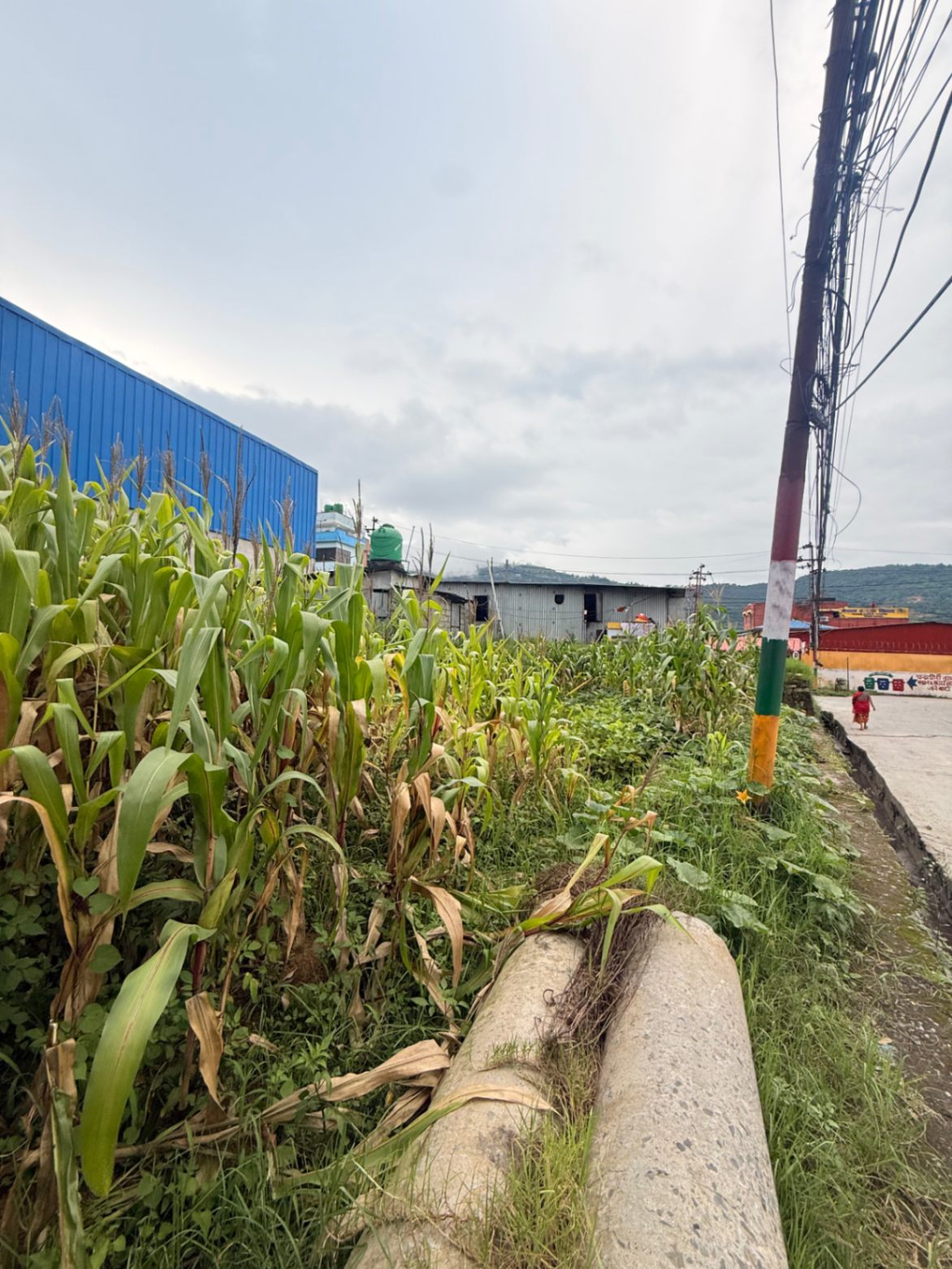 #SS2384 Commercial Land on sell at Thankot, Chandragiri