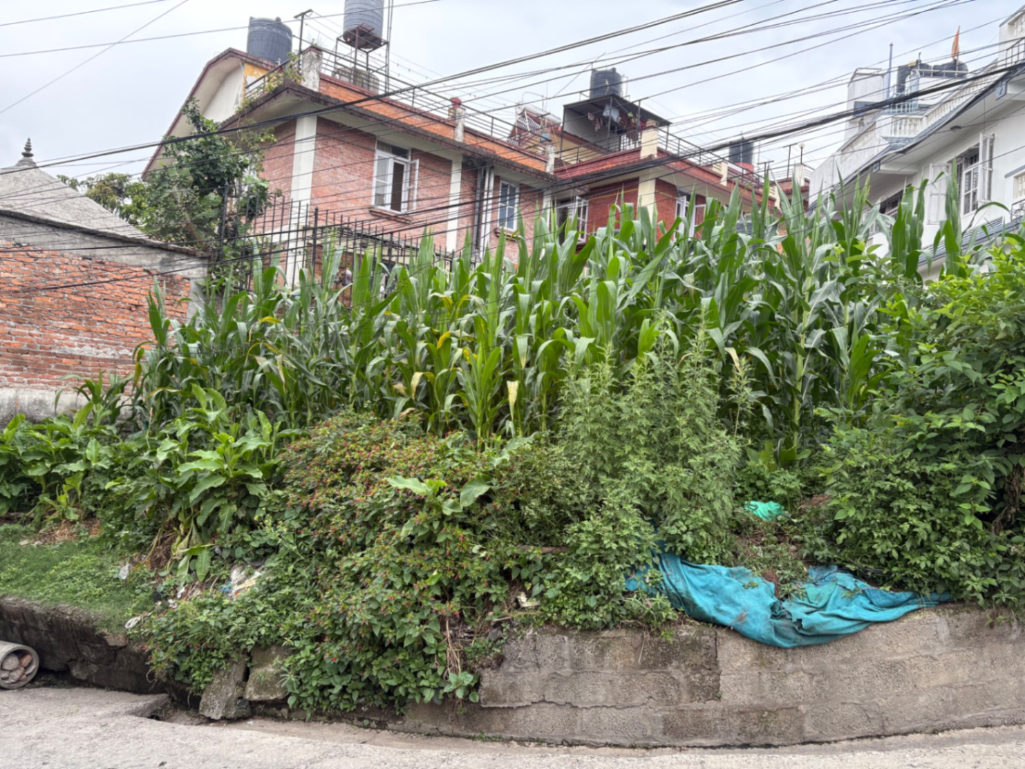 #SS2058 Semi-commericial Land on sell at Kalanki, Kathmandu