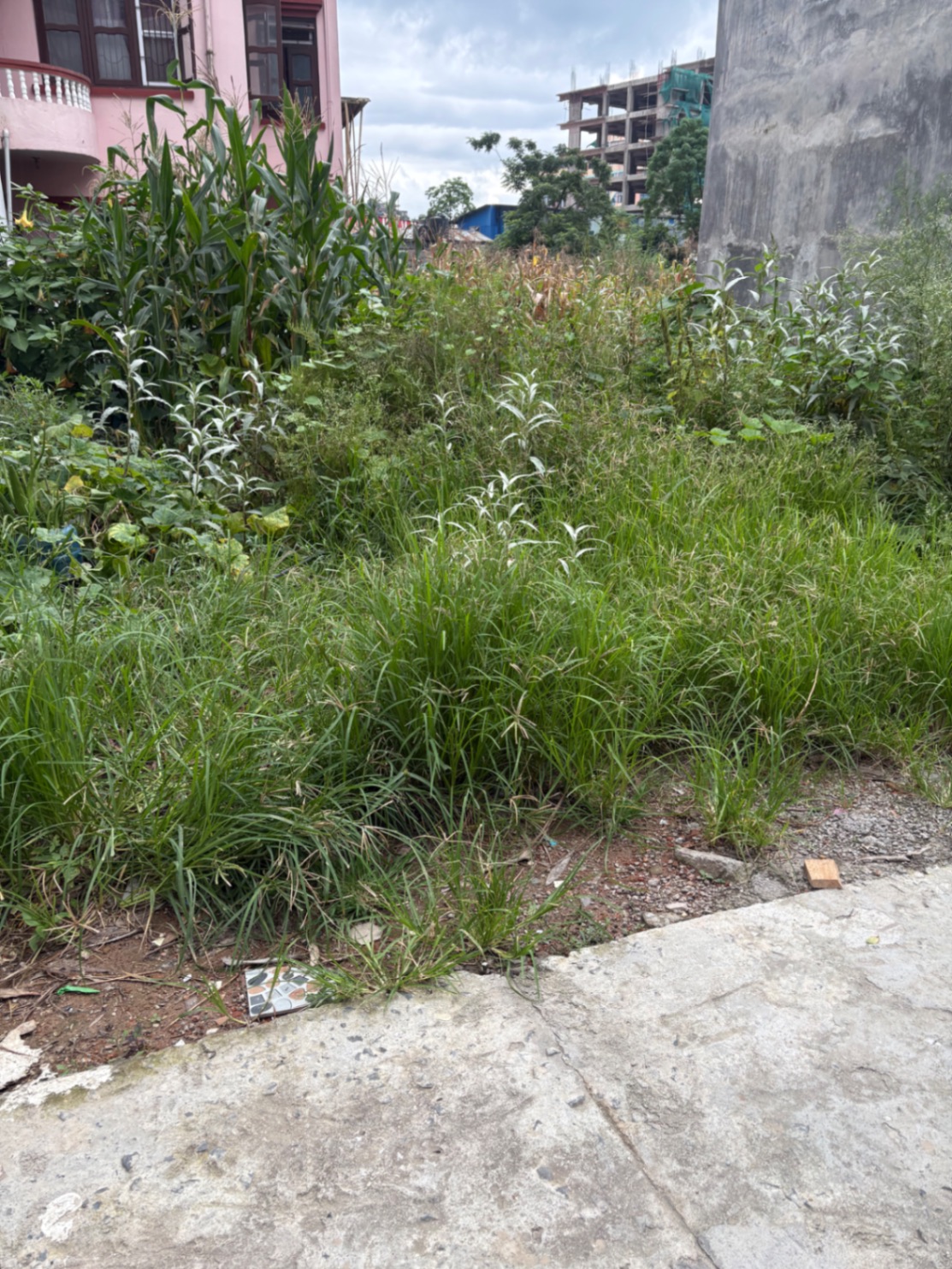 #SS2791 Residential Land on sell at Satungal, Chandragiri