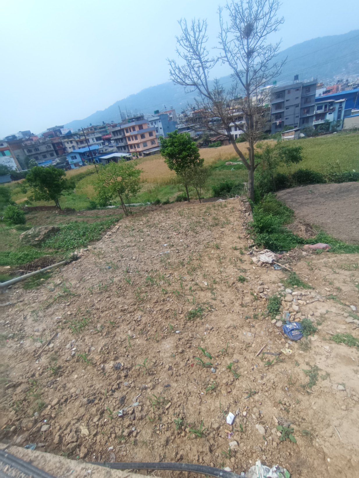 #SS1538 Residential Land on sell at Gurjudhara, Chandragiri