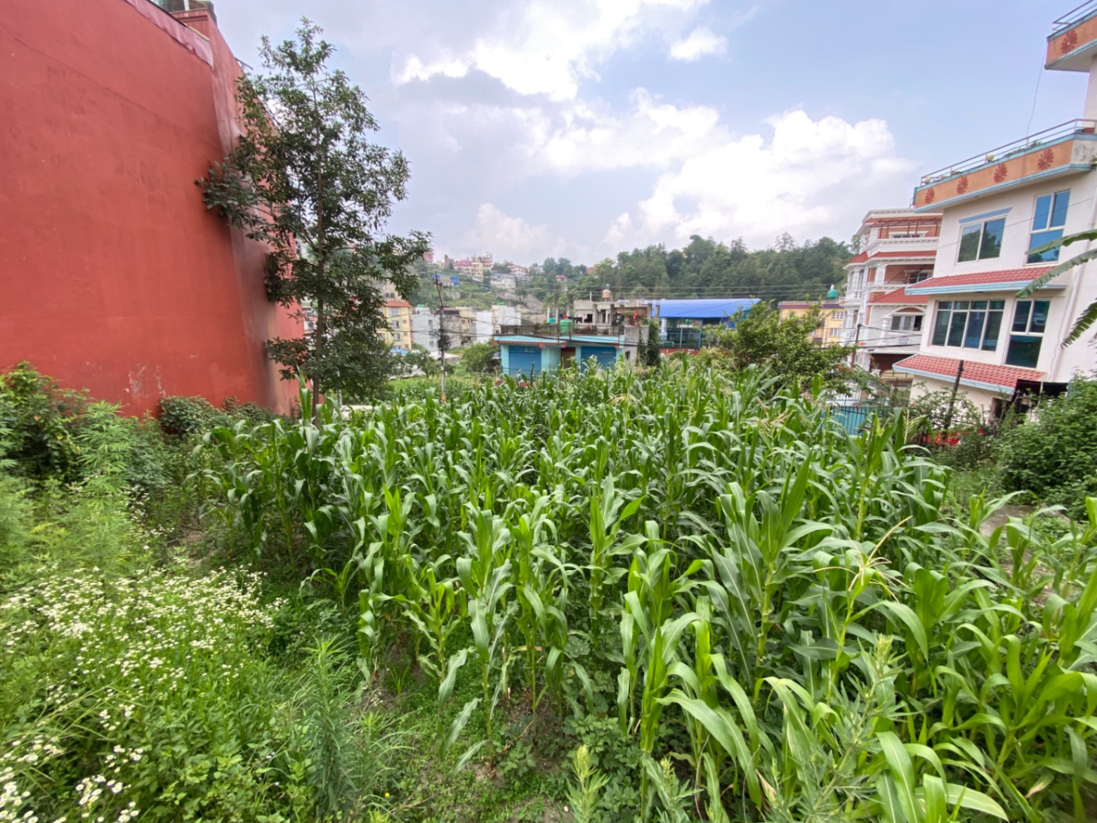 #SS2044 Residential Land on sell at Bhangal, Budhanilkantha
