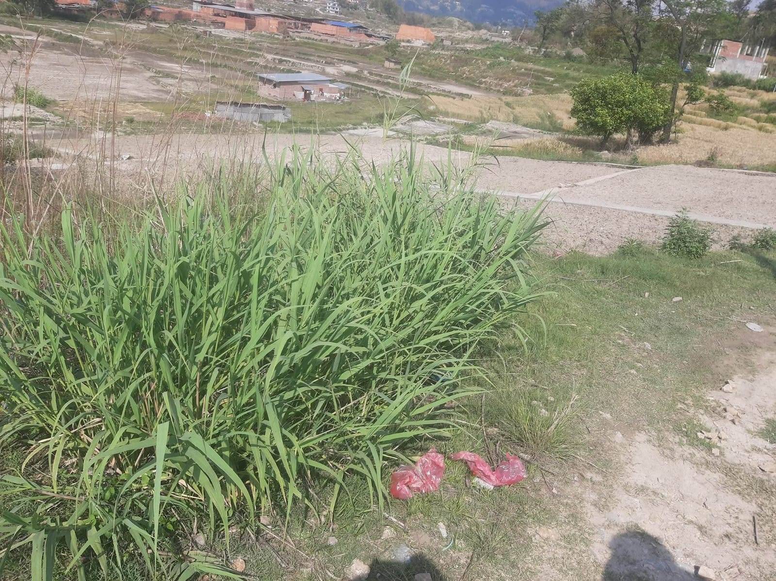 #SS1387 Residential Land on sell at Tathali, Changunarayan