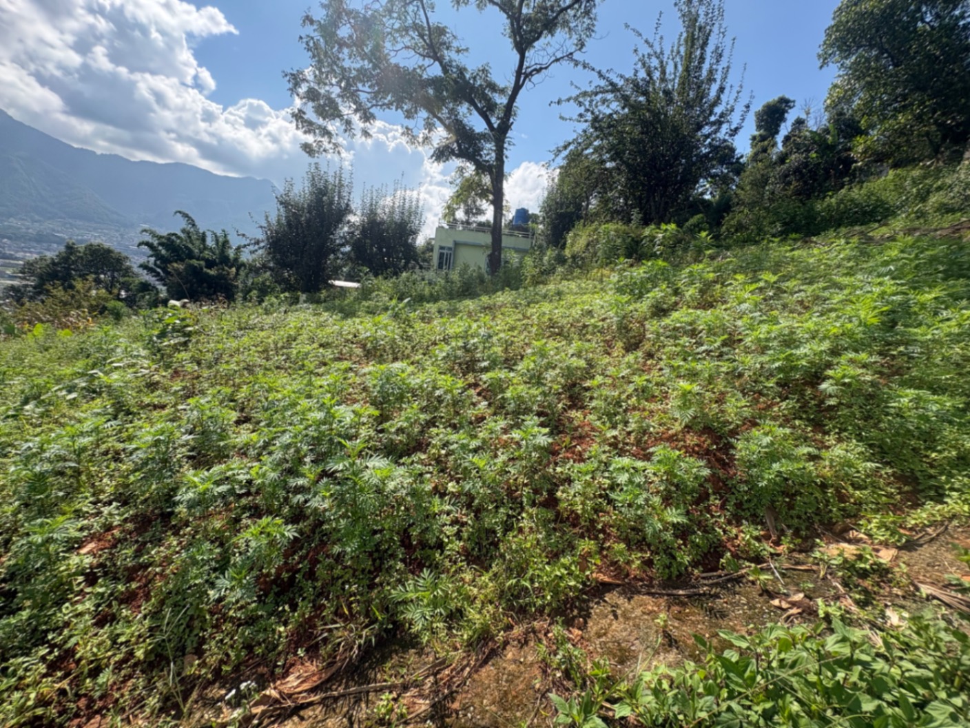 #SS2718 Residential Land on sell at Dahachowk panihill, Chandragiri