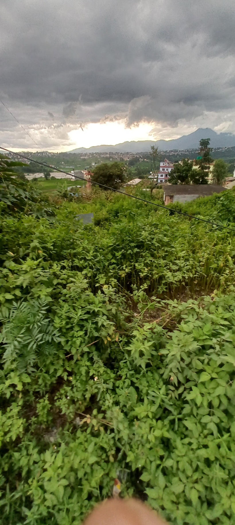 #SS2484 Residential Land on sell at Chalnakhel, Dakshinkali