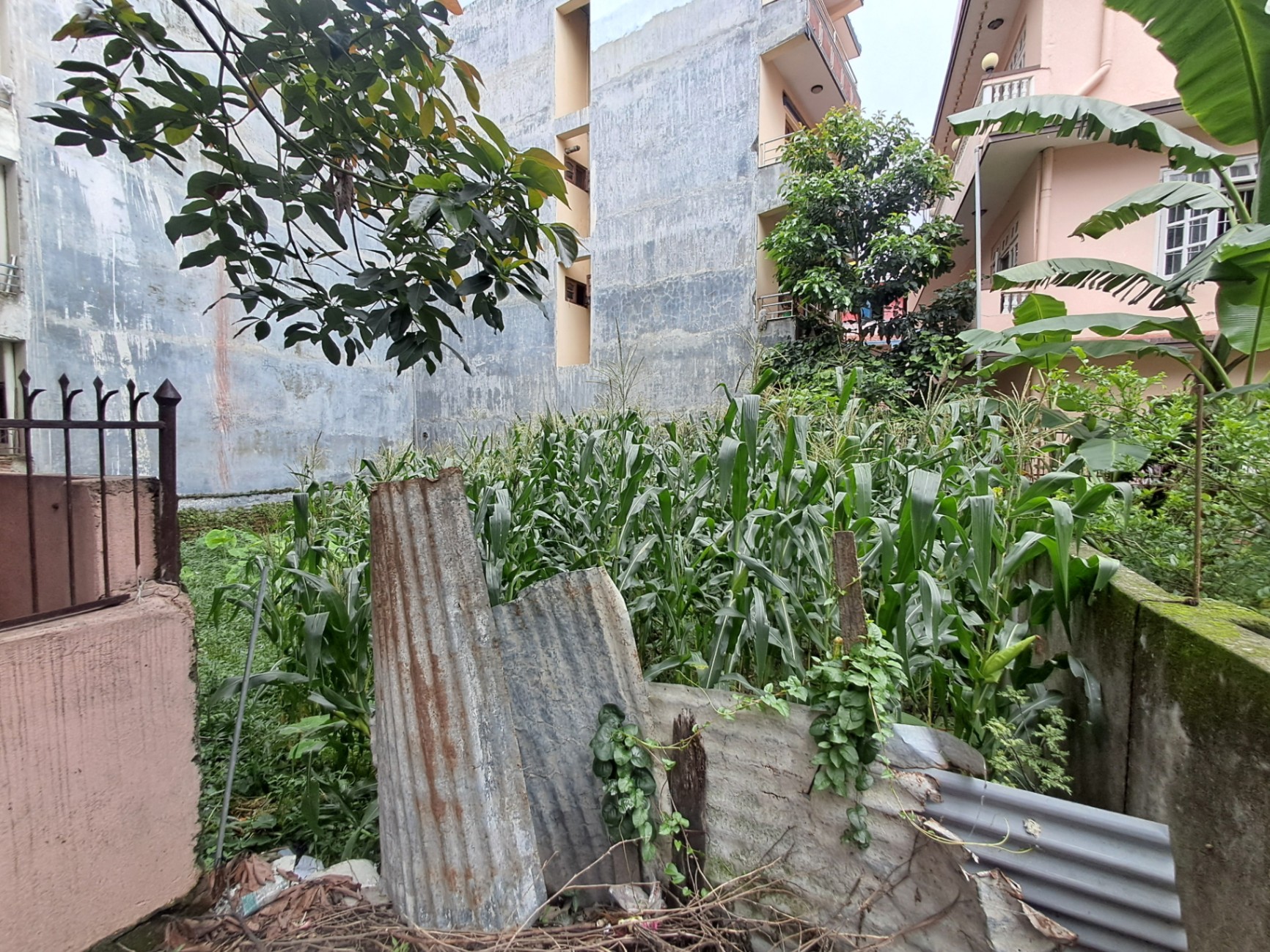 #SS2268 Residential Land on sell at Jorpati narayantar, Gokarneshwar