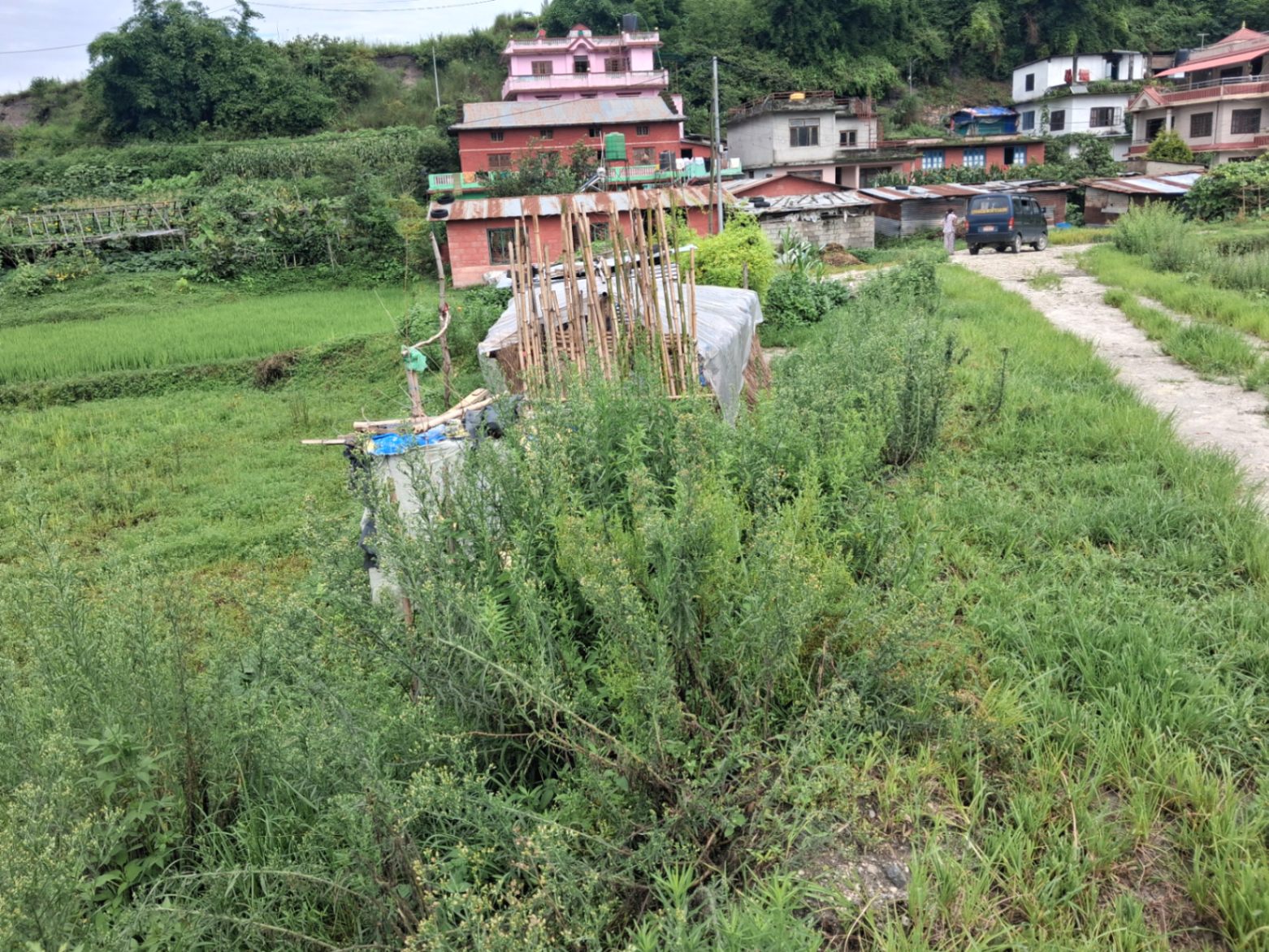 #SS2420 Plotting Land on sell at , Shankharapur