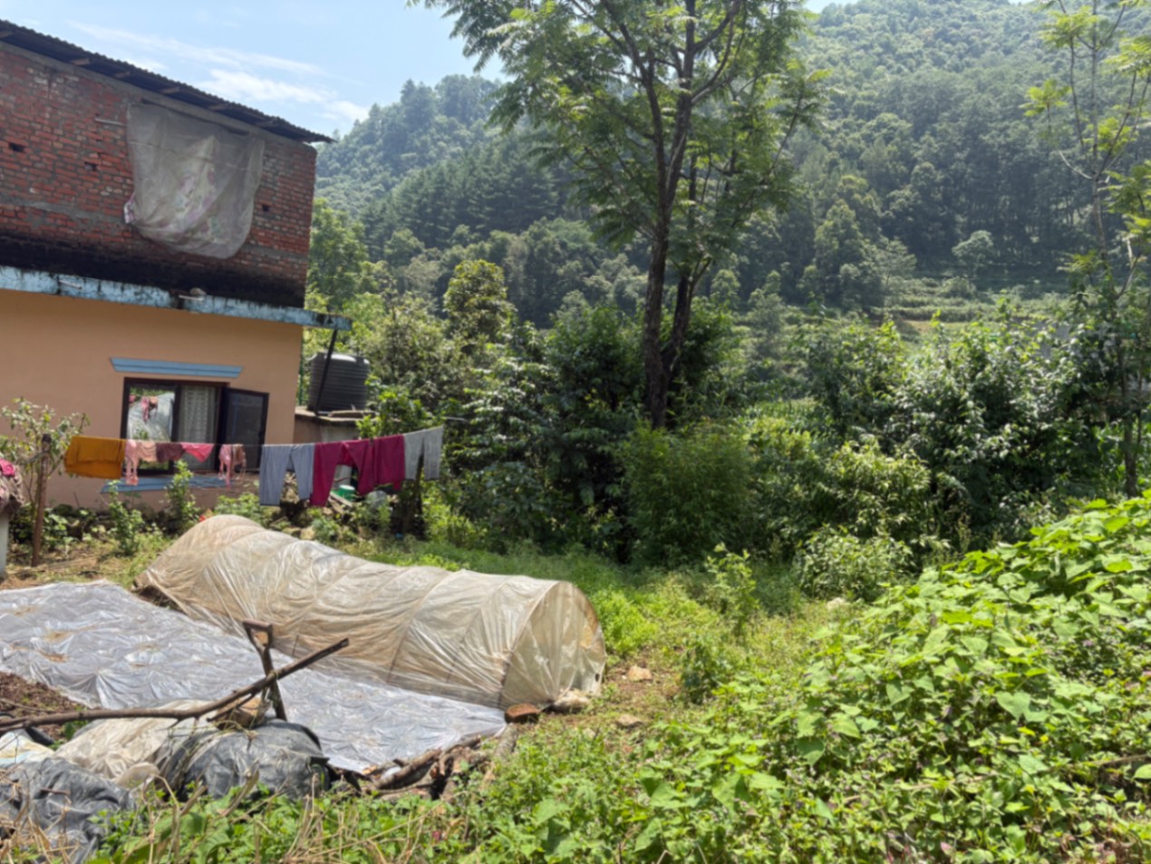 #SS2201 Semi-commericial Land on sell at Machhegaun, Kirtipur