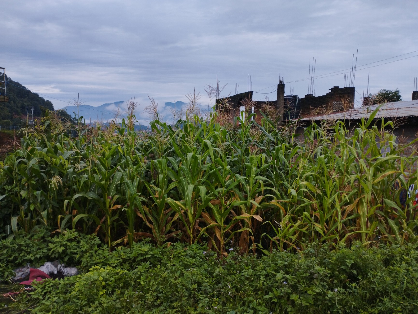 #SS2374 Residential Land on sell at Tanchintar Godawari , Godawari