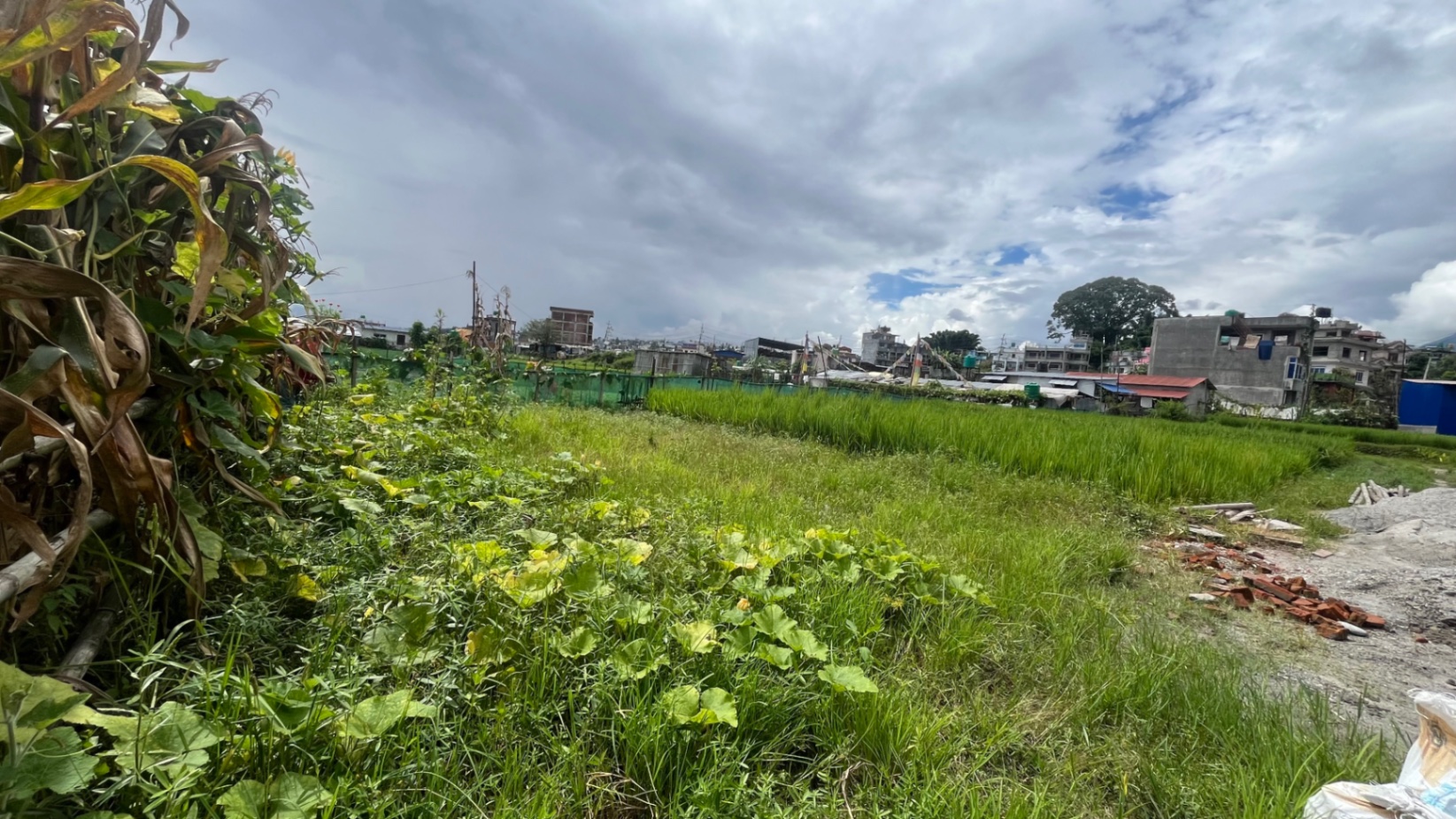 #SS2619 Residential Land on sell at Dachi Hempype carkhana, Kageshwari-Manohara