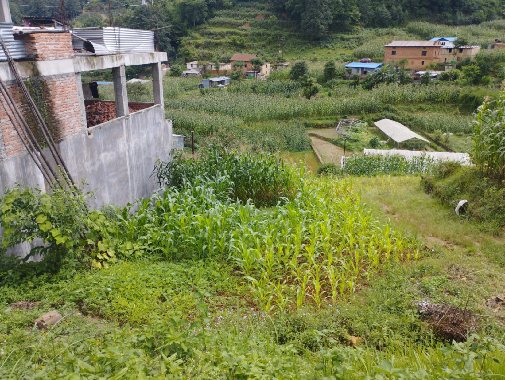 #SS2240 Residential Land on sell at Chapagaun takhel near khajuri factory , Godawari