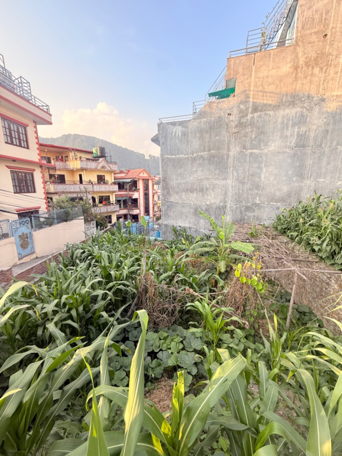 #SS1958 Residential Land on sell at Ekaltar, Nagarjun