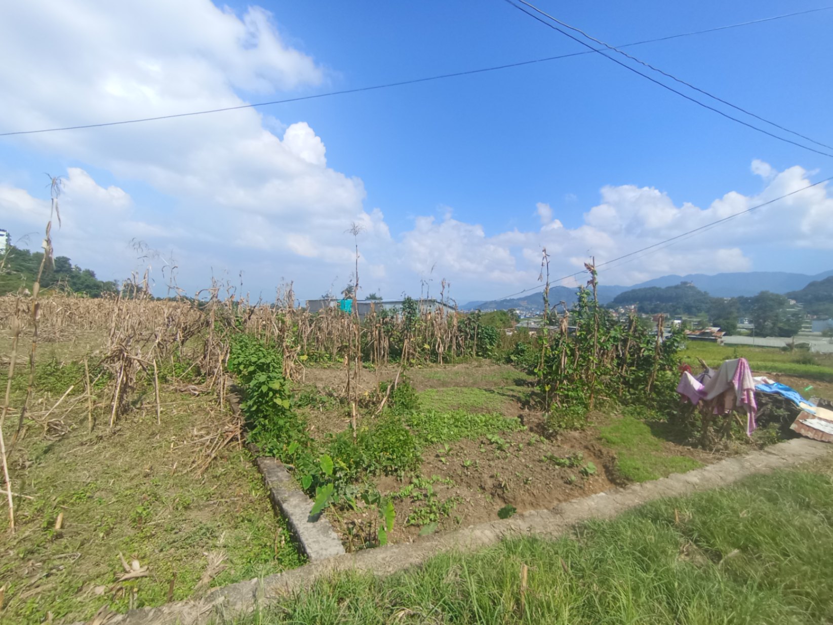 #SS2806 Residential Land on sell at Thecho, Godawari