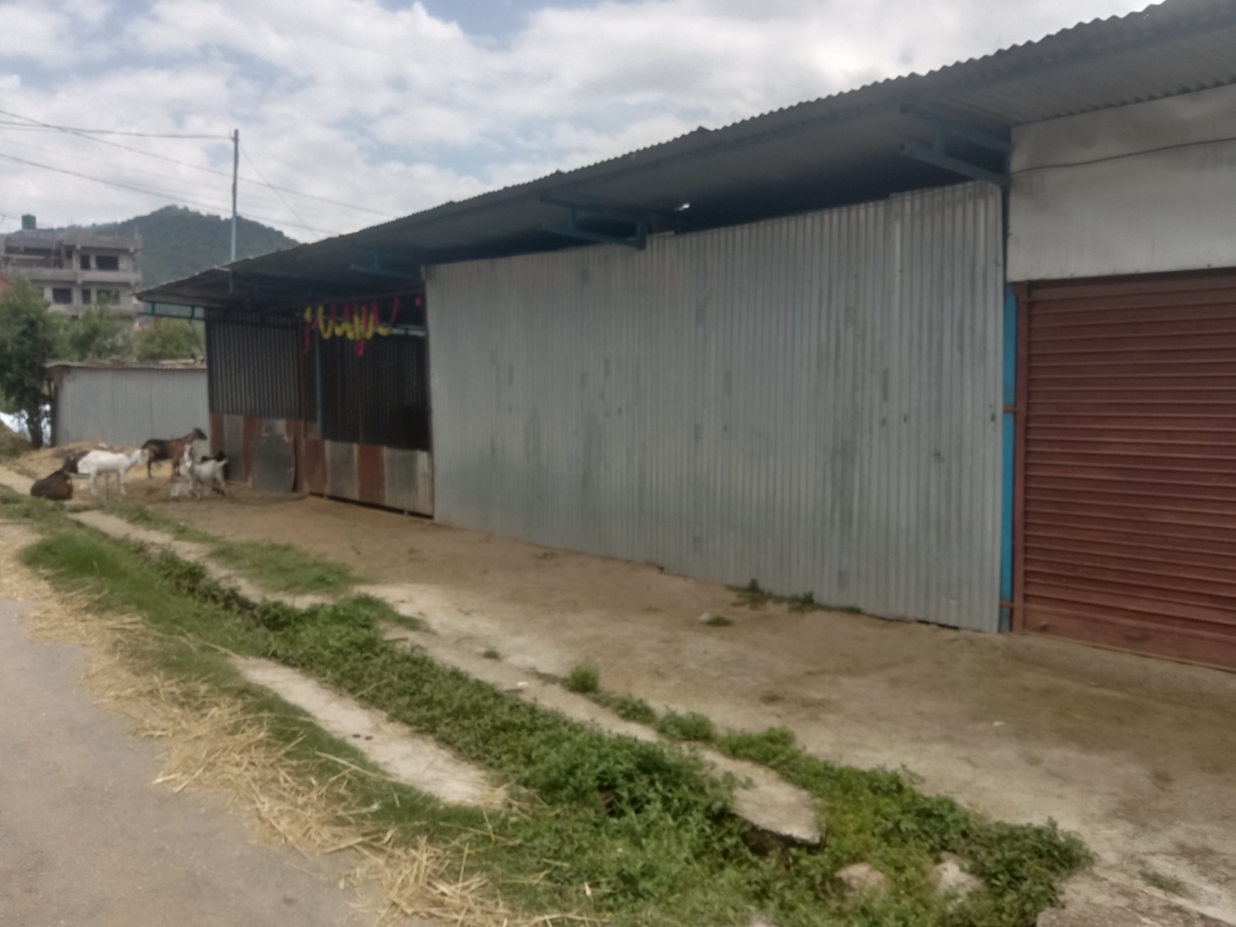 #SS1652 Commercial Land on sell at Gundu, Suryabinayak