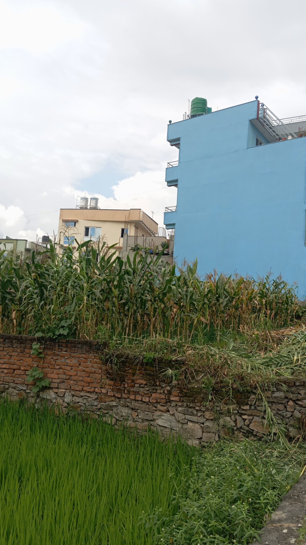 #SS2555 Residential Land on sell at Chagathali, Mahalaxmi