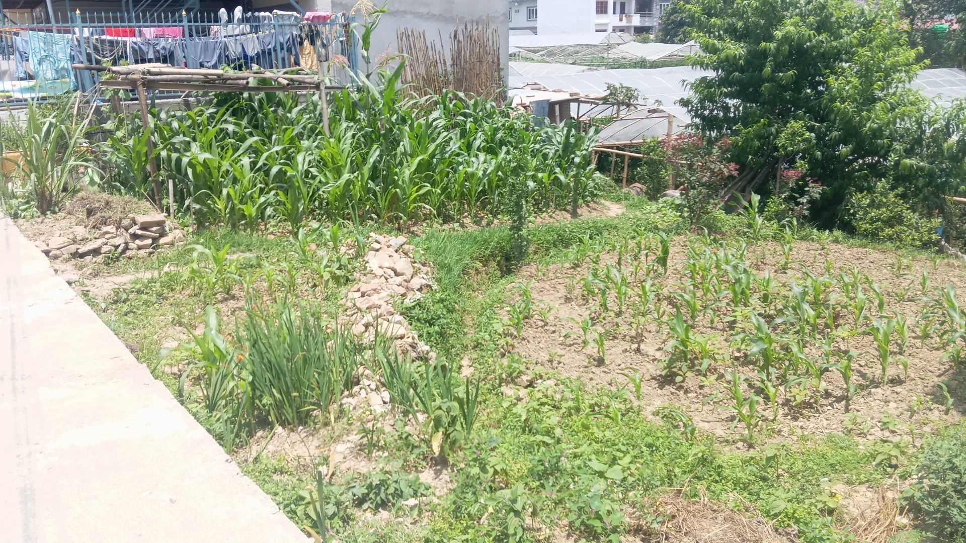 #SS1782 Residential Land on sell at Thankot, Chandragiri