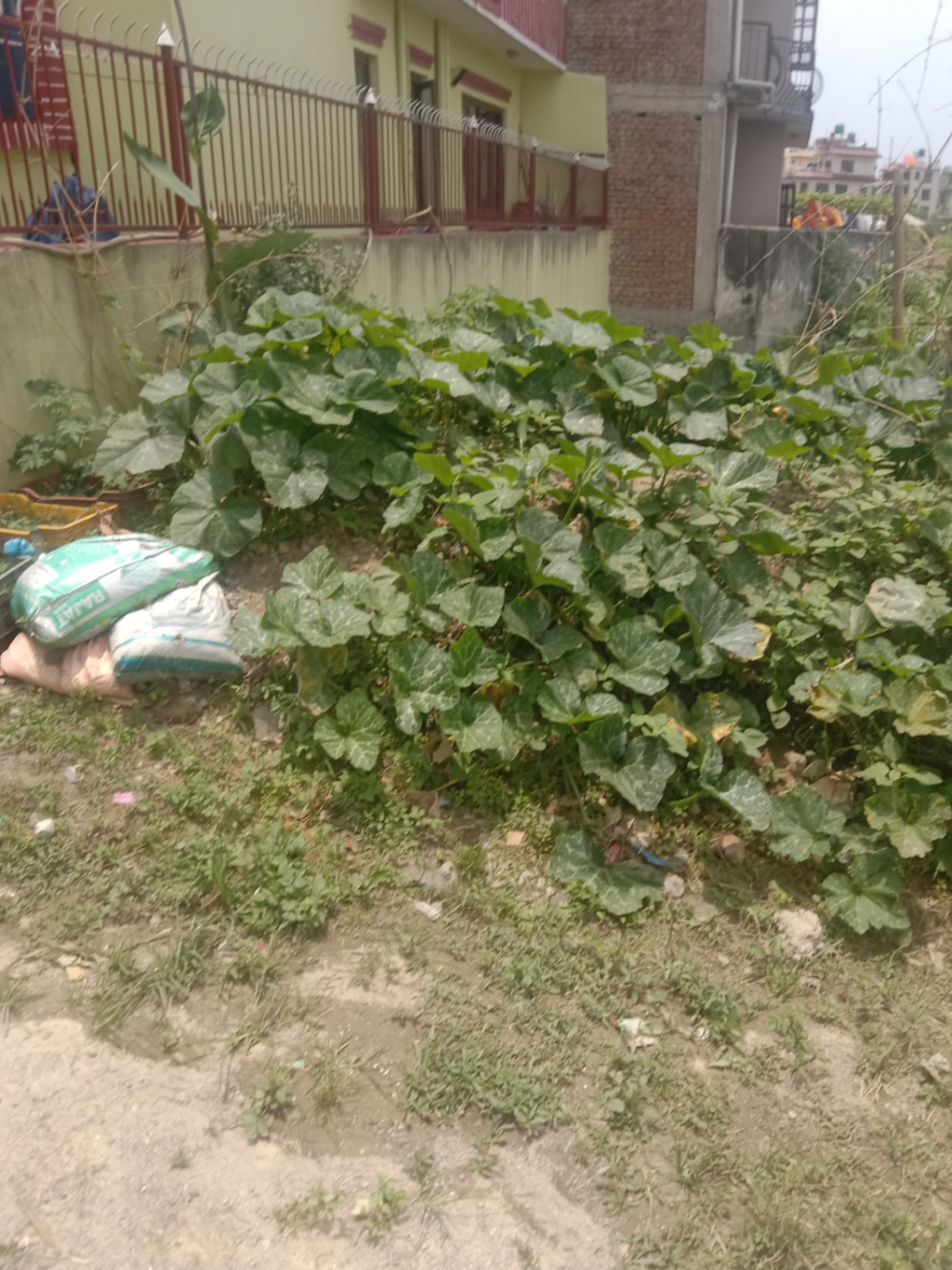 #SS2080 Residential Land on sell at Katunje, Suryabinayak