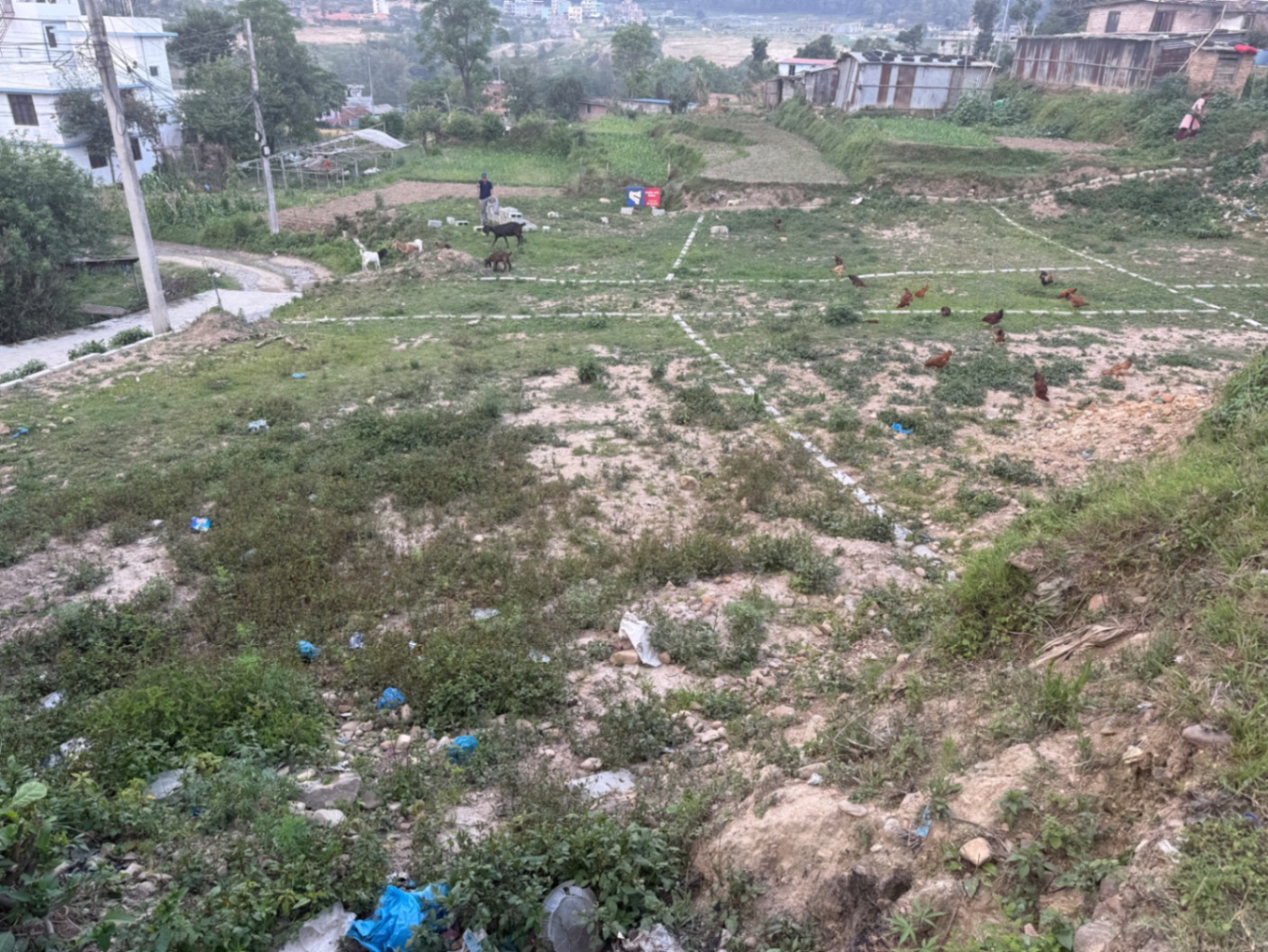 #SS2043 Plotting Land on sell at Chhampi, Lalitpur