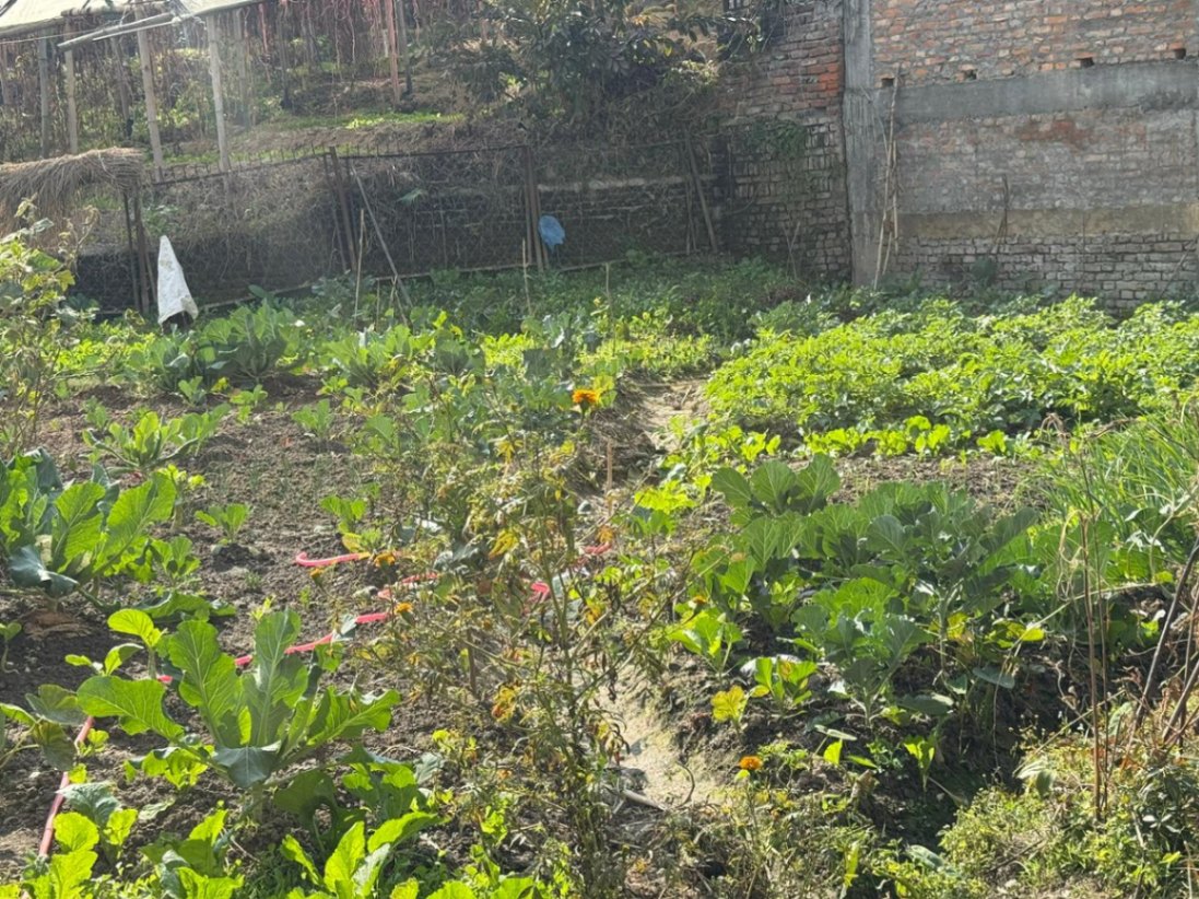 #SS1191 Residential Land on sell at Khadka Gaun, Chandragiri