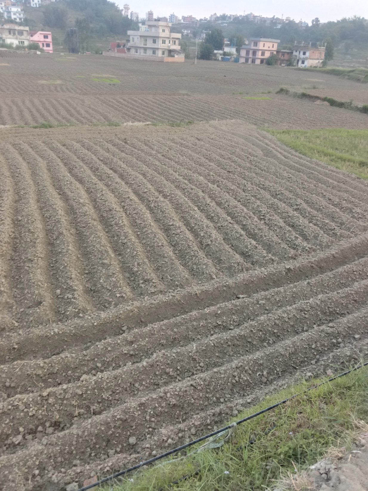 #SS1991 Residential Land on sell at Pakaunepati, Changunarayan