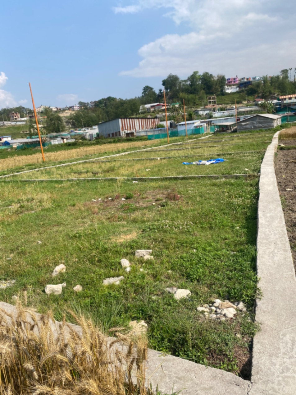 #SS1659 Residential Land on sell at Thali, Kageshwari-Manohara
