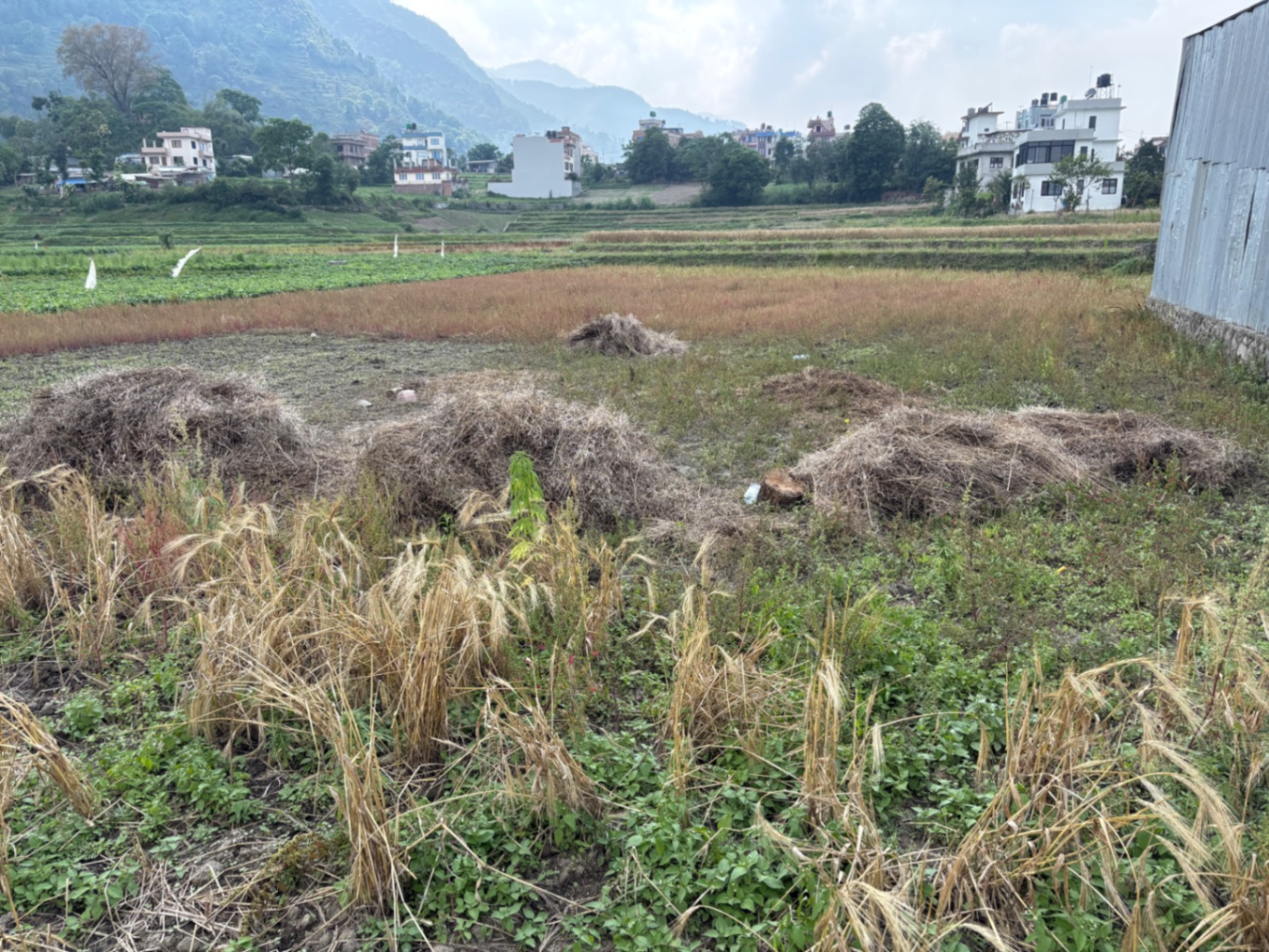 #SS1741 Commercial Land on sell at Sirjana marga , Kirtipur