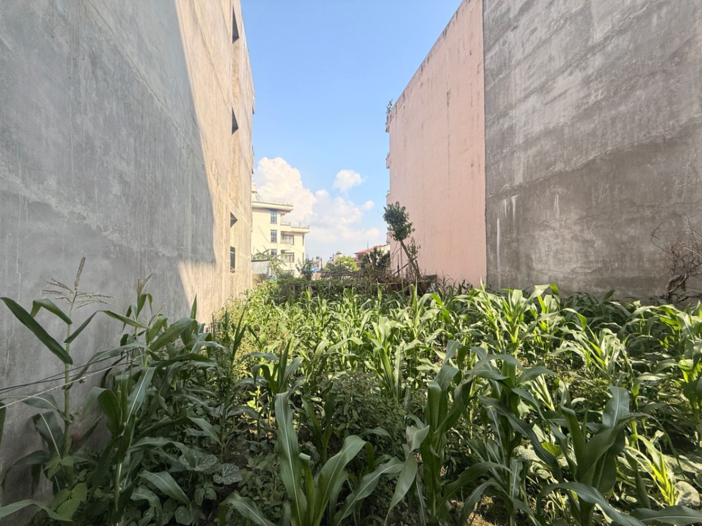 #SS1674 Residential Land on sell at Raniban, Nagarjun