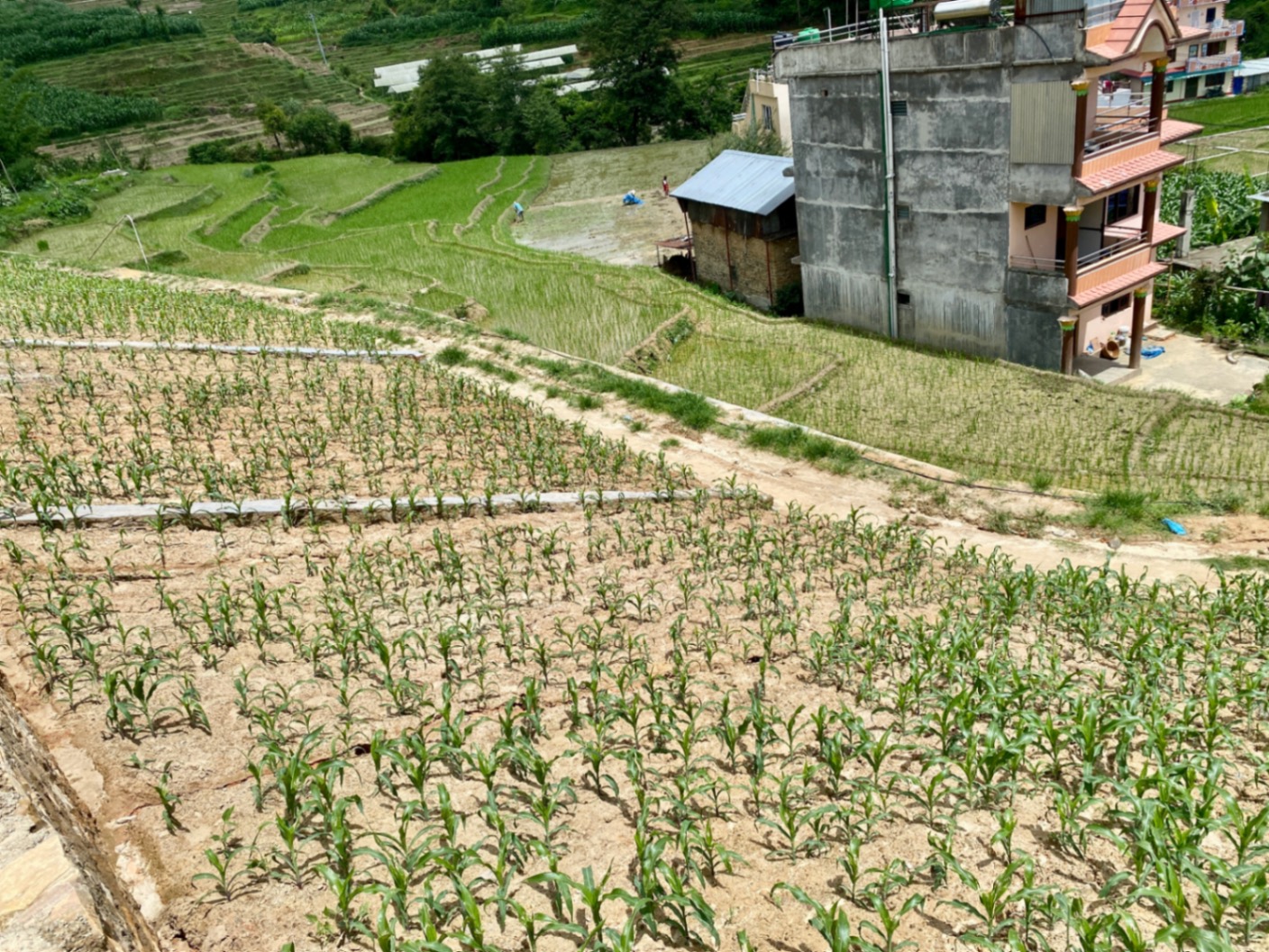 #SS2204 Plotting Land on sell at Sudal, Changunarayan