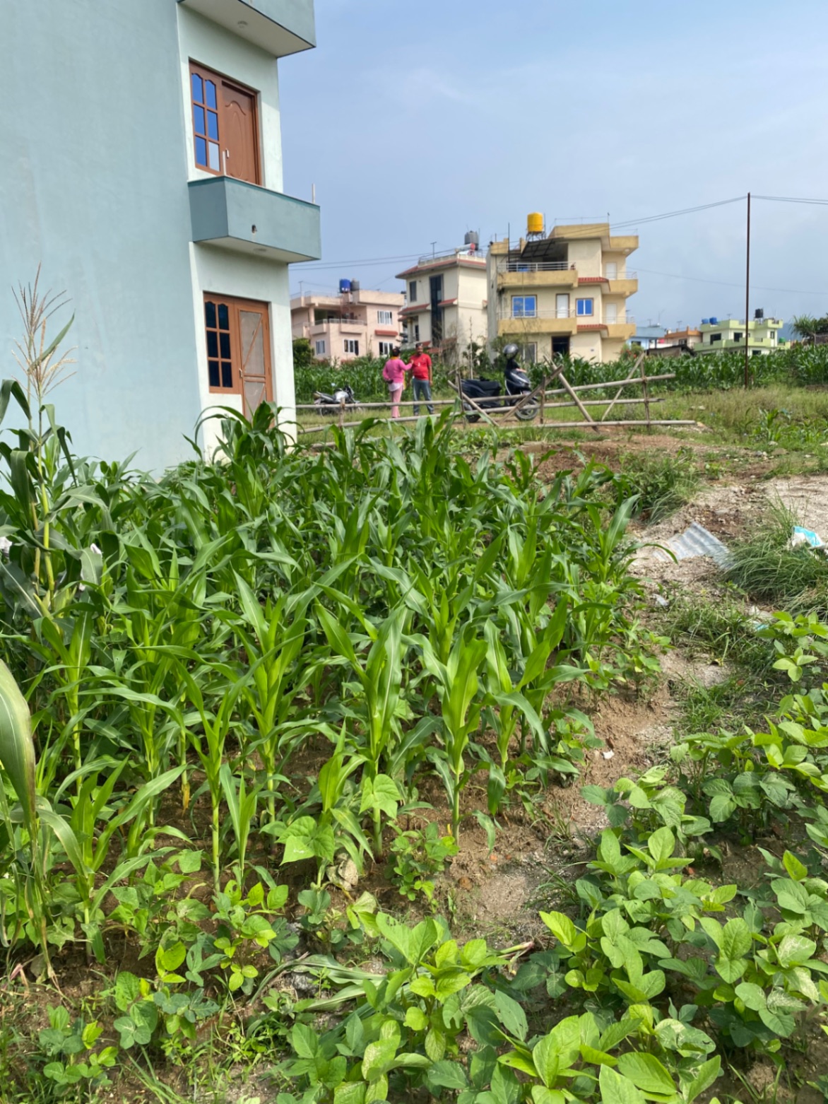 #SS2140 Residential Land on sell at Khulaltar, Shankharapur