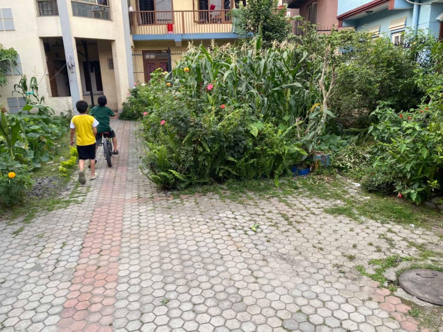 #SS2087 Residential Land on sell at kalopool, Kathmandu