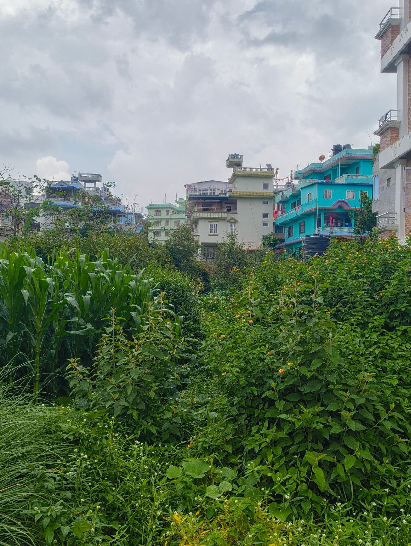 #SS2061 Commercial Land on sell at Kumarigal, Kathmandu