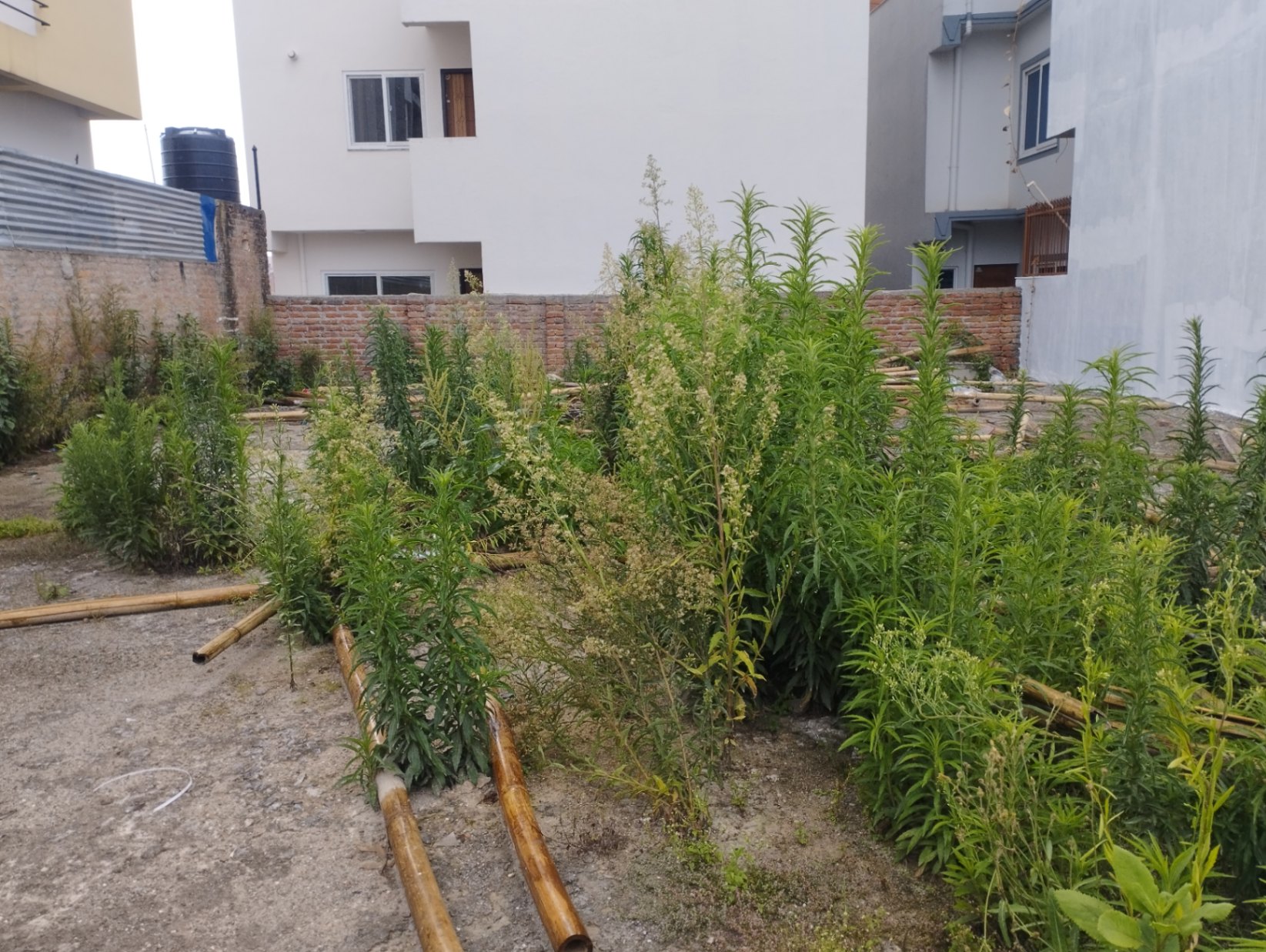 #SS1922 Residential Land on sell at Imadol rajkulo bhitra highway mah, Mahalaxmi