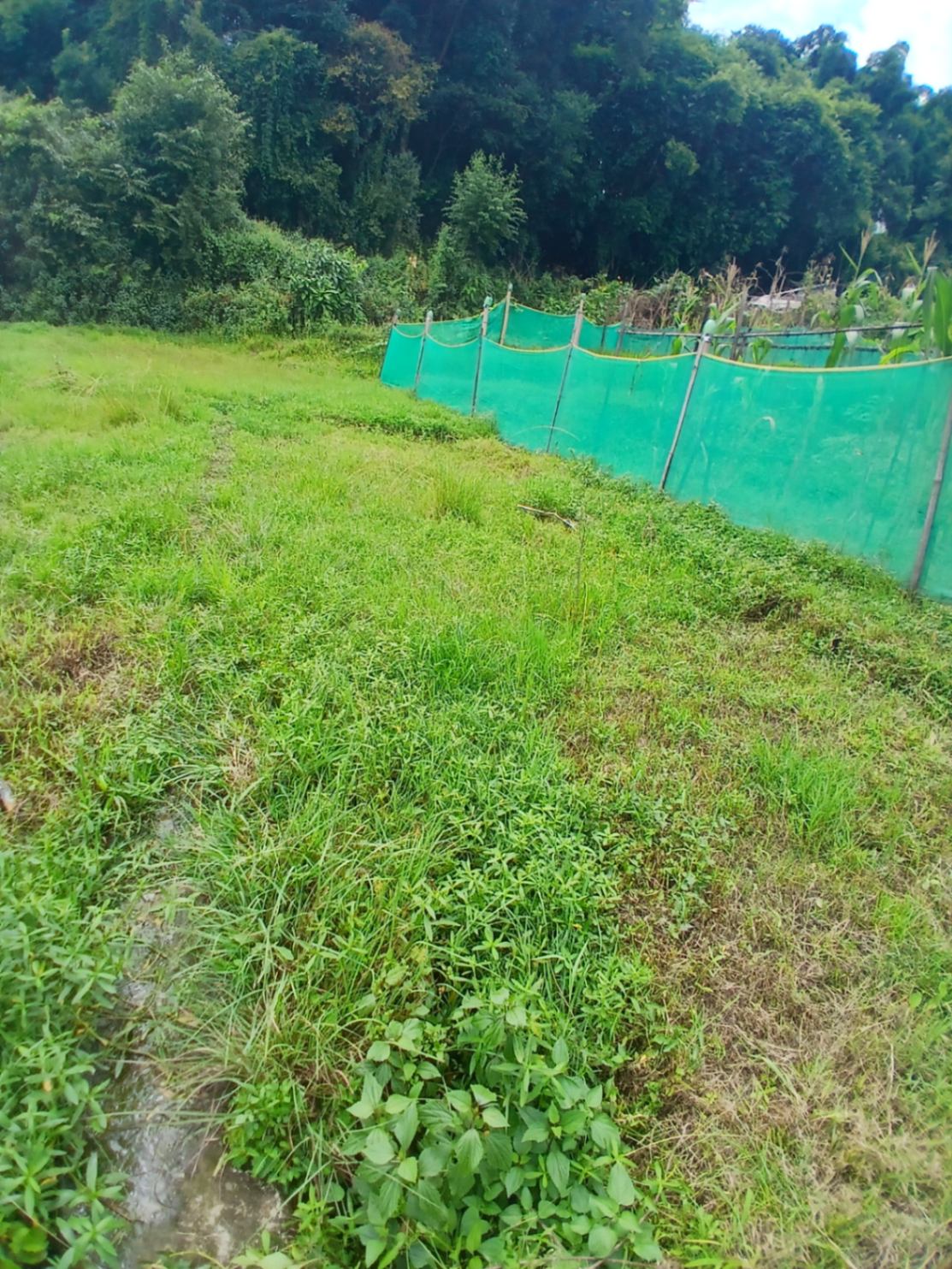 #SS2545 Residential Land on sell at Nepal engineering college, Changunarayan