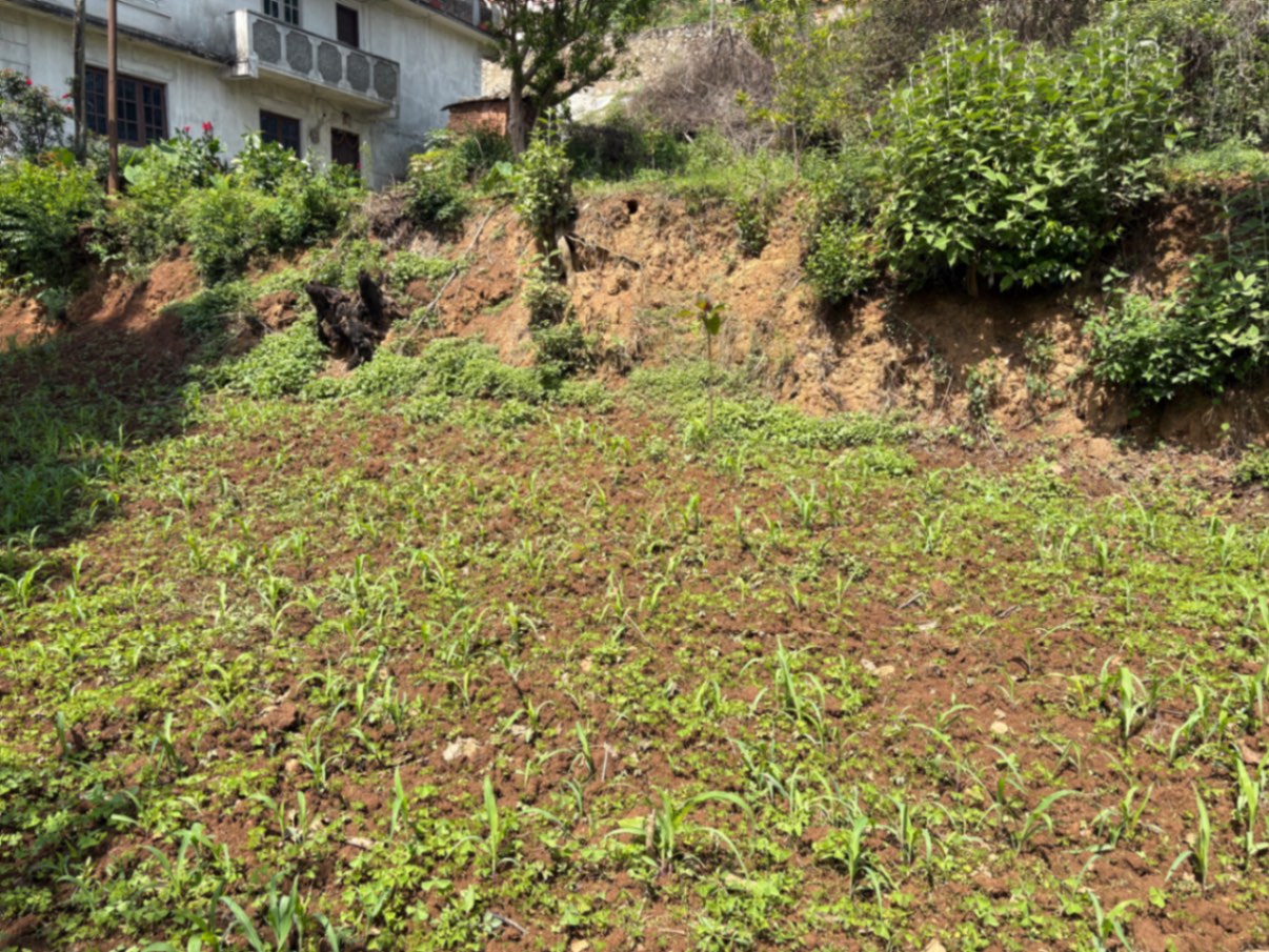 #SS1638 Semi-commericial Land on sell at Bansbari, Dakshinkali