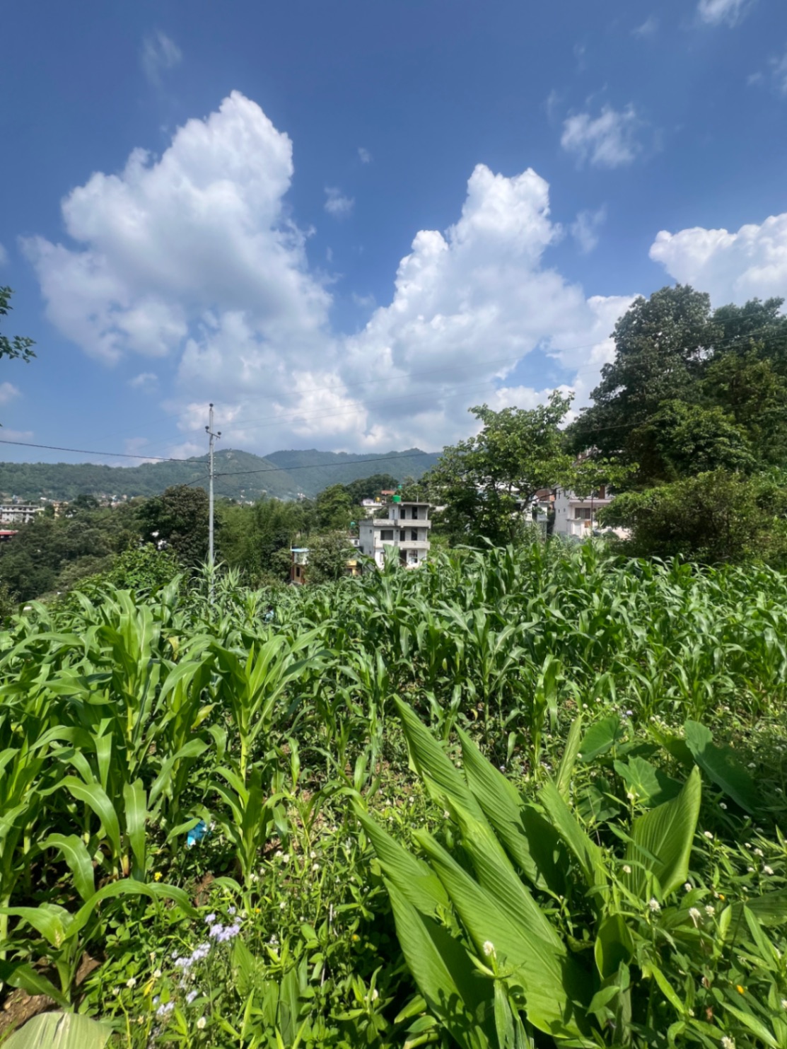 #SS1977 Residential Land on sell at Lubu arubot, Lalitpur