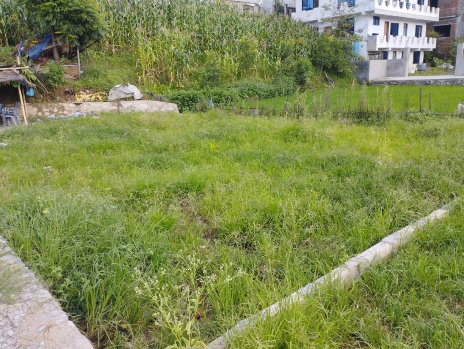 #SS2341 Plotting Land on sell at Rk itta bhatta, Mahalaxmi
