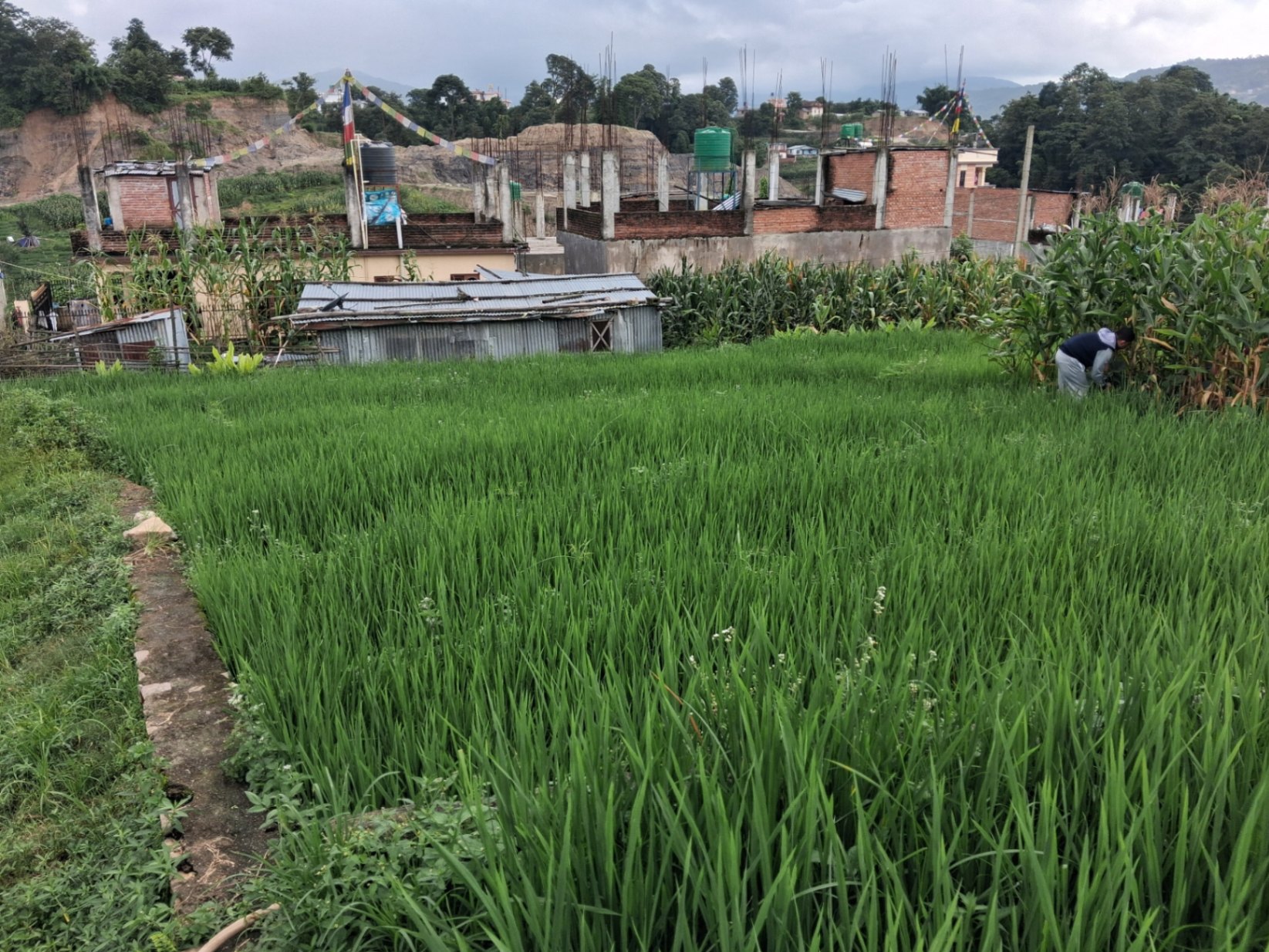 #SS2430 Residential Land on sell at Dachi, Kageshwari-Manohara