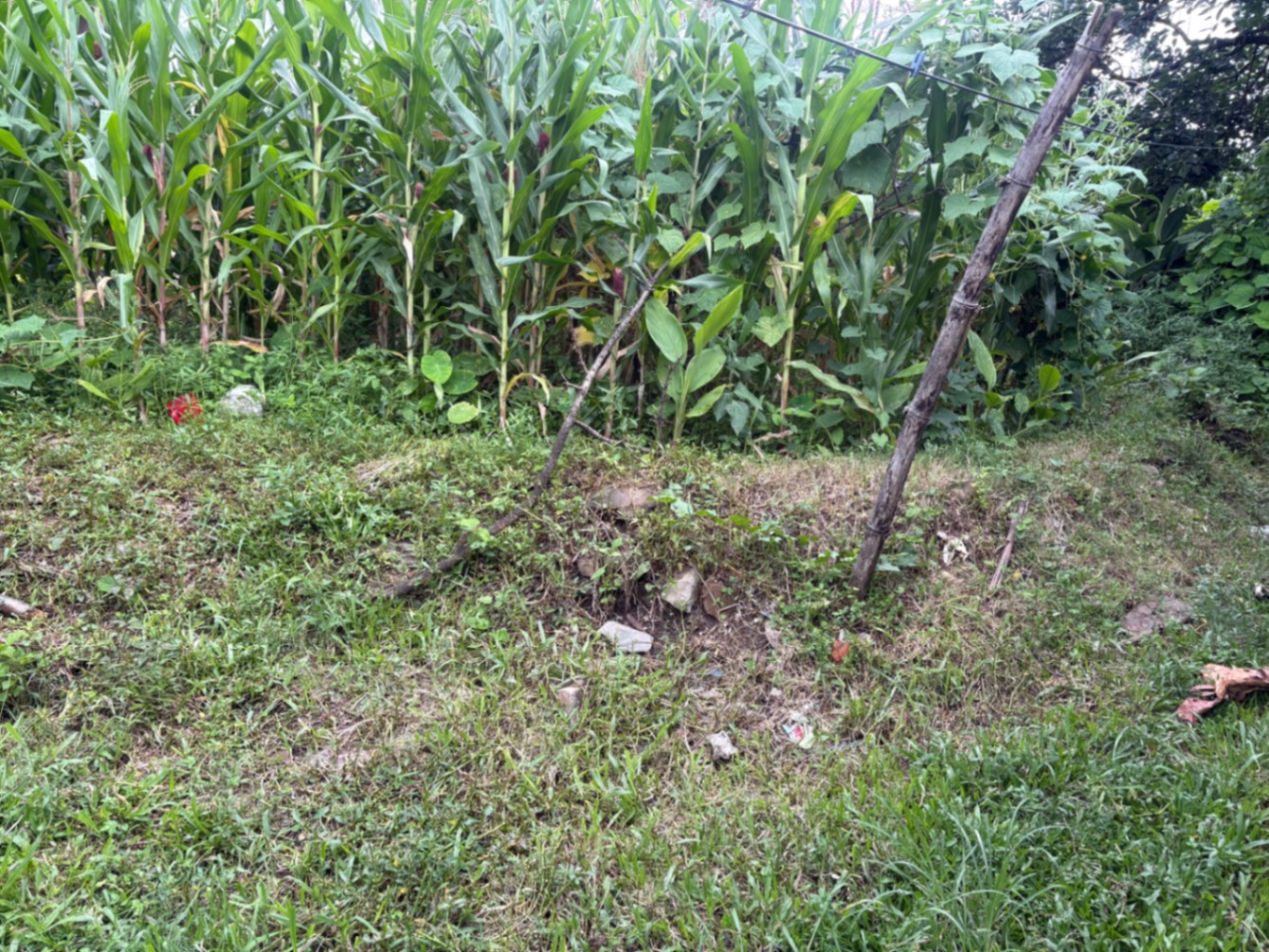 #SS2319 Semi-commericial Land on sell at Tinthana, Chandragiri